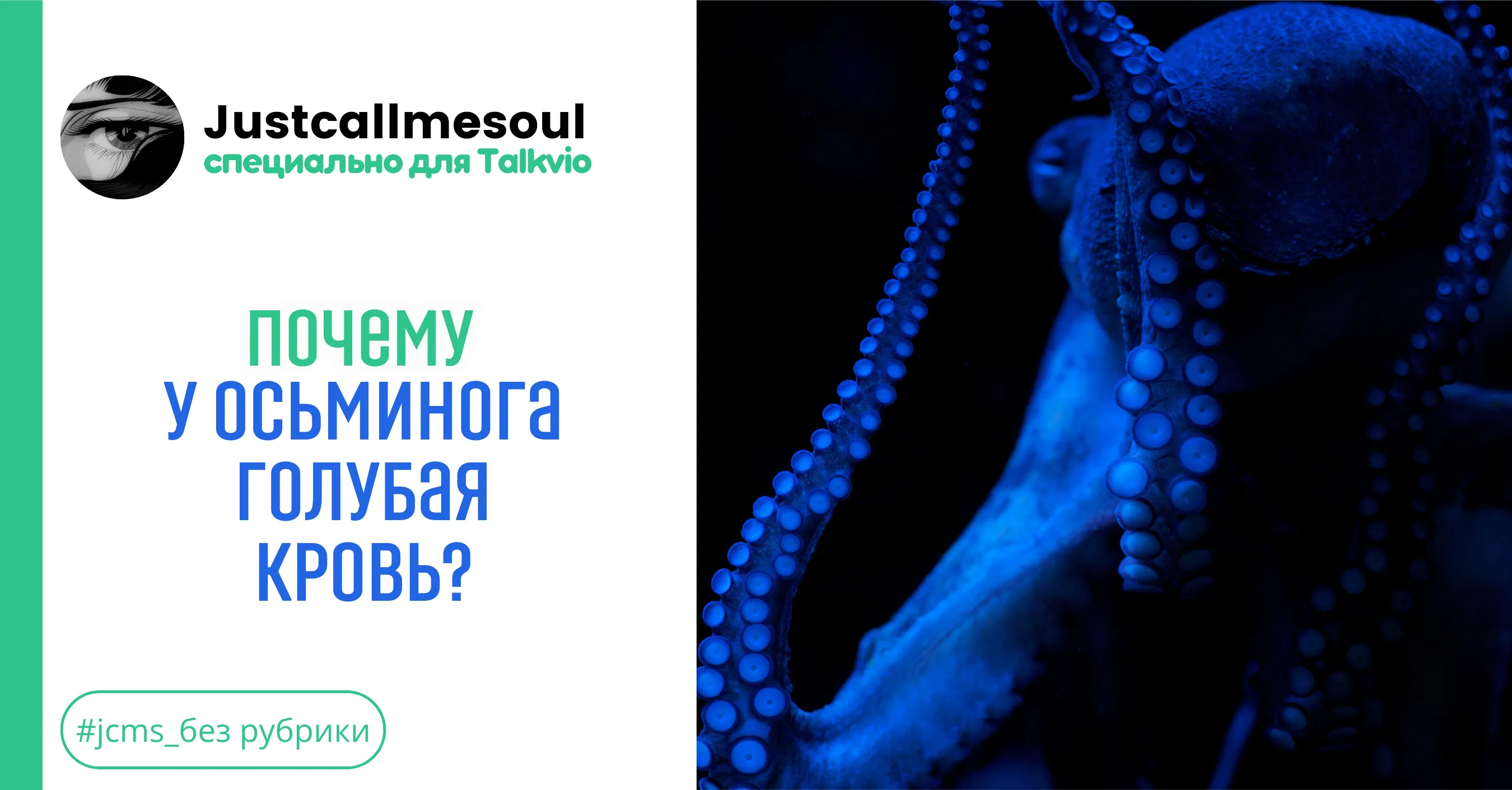 Почему у осьминога голубая кровь?! #1