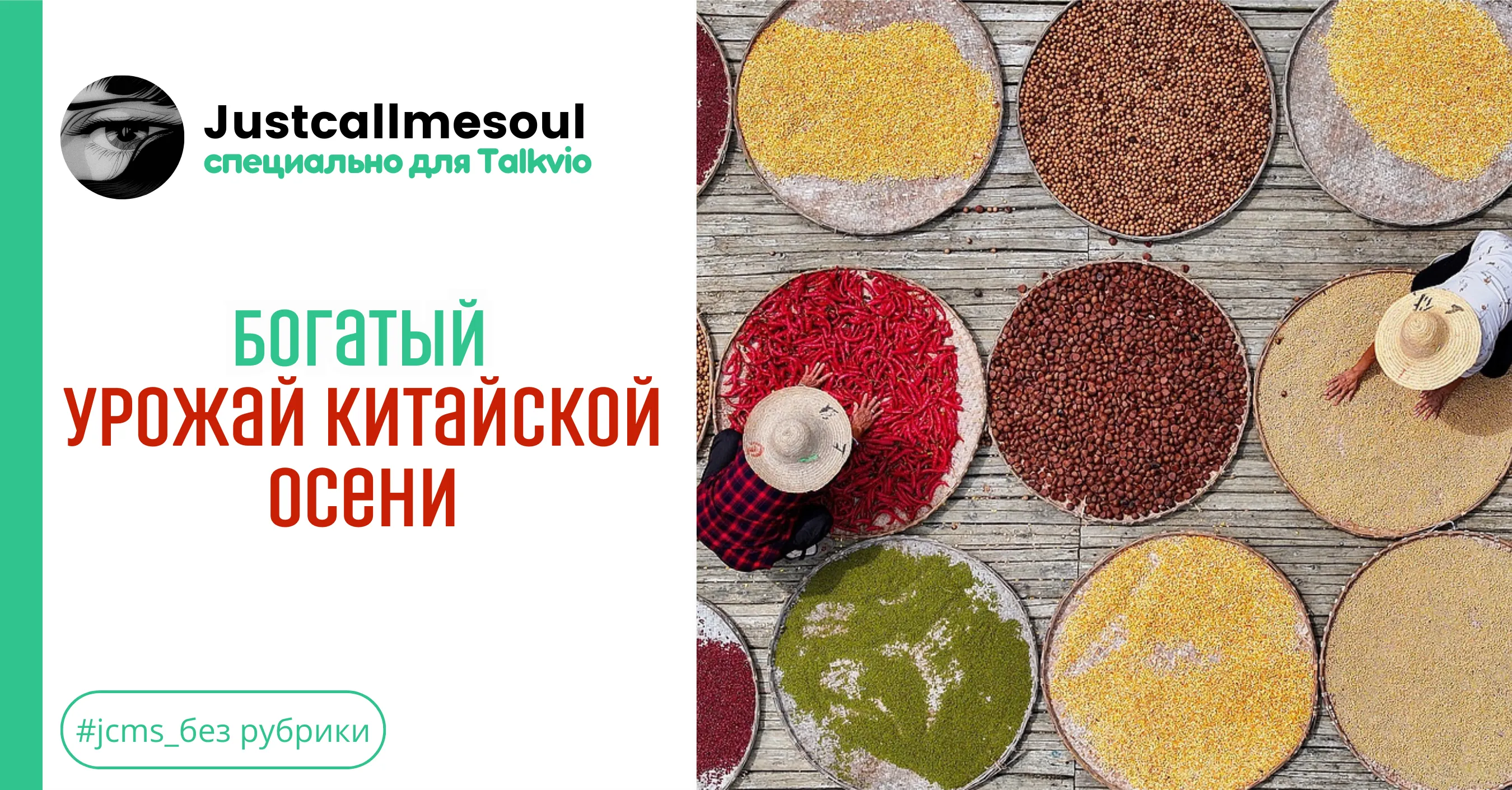 Богатый урожай китайской осени #1