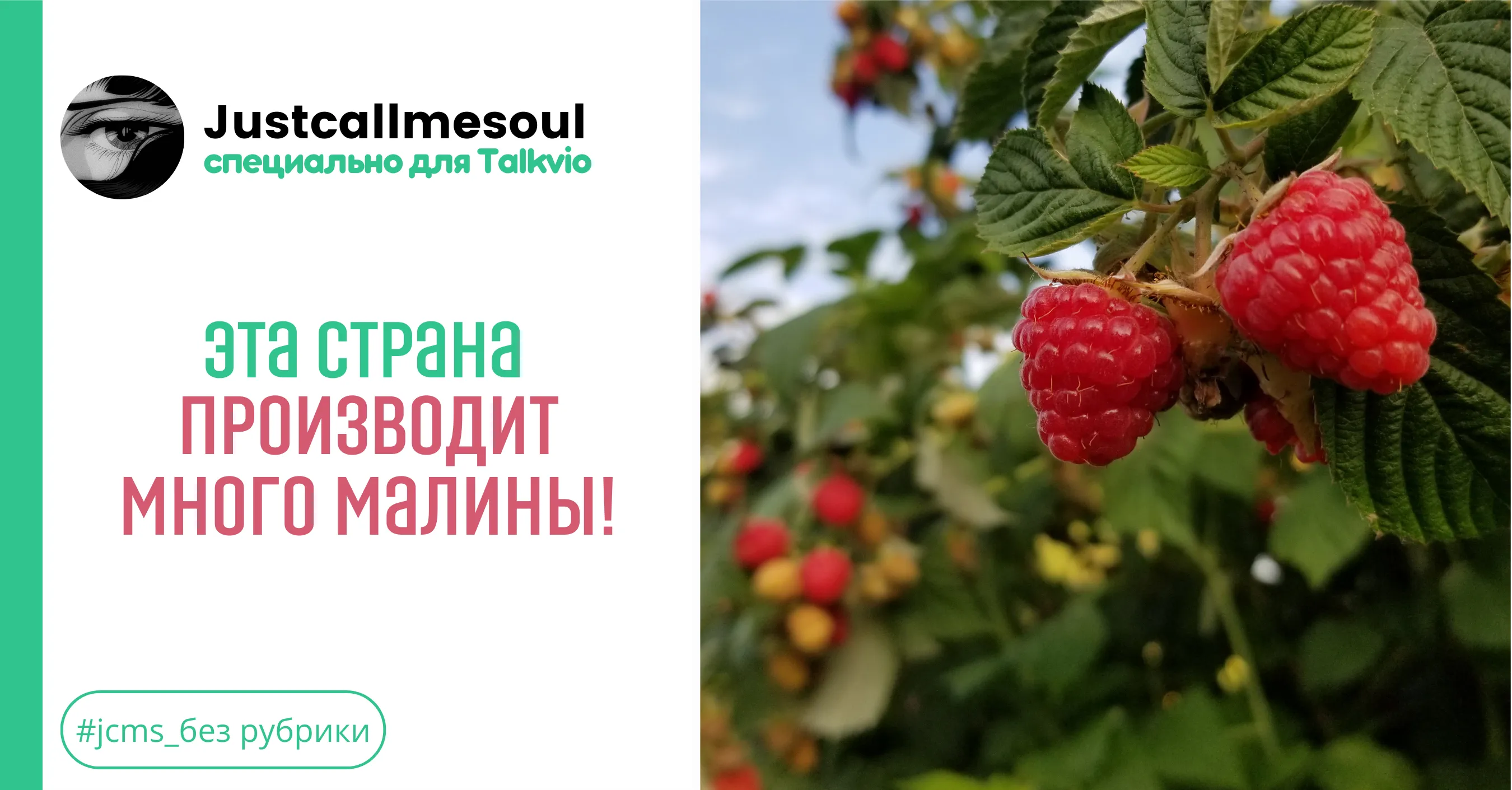 Эта страна производит много малины! #1