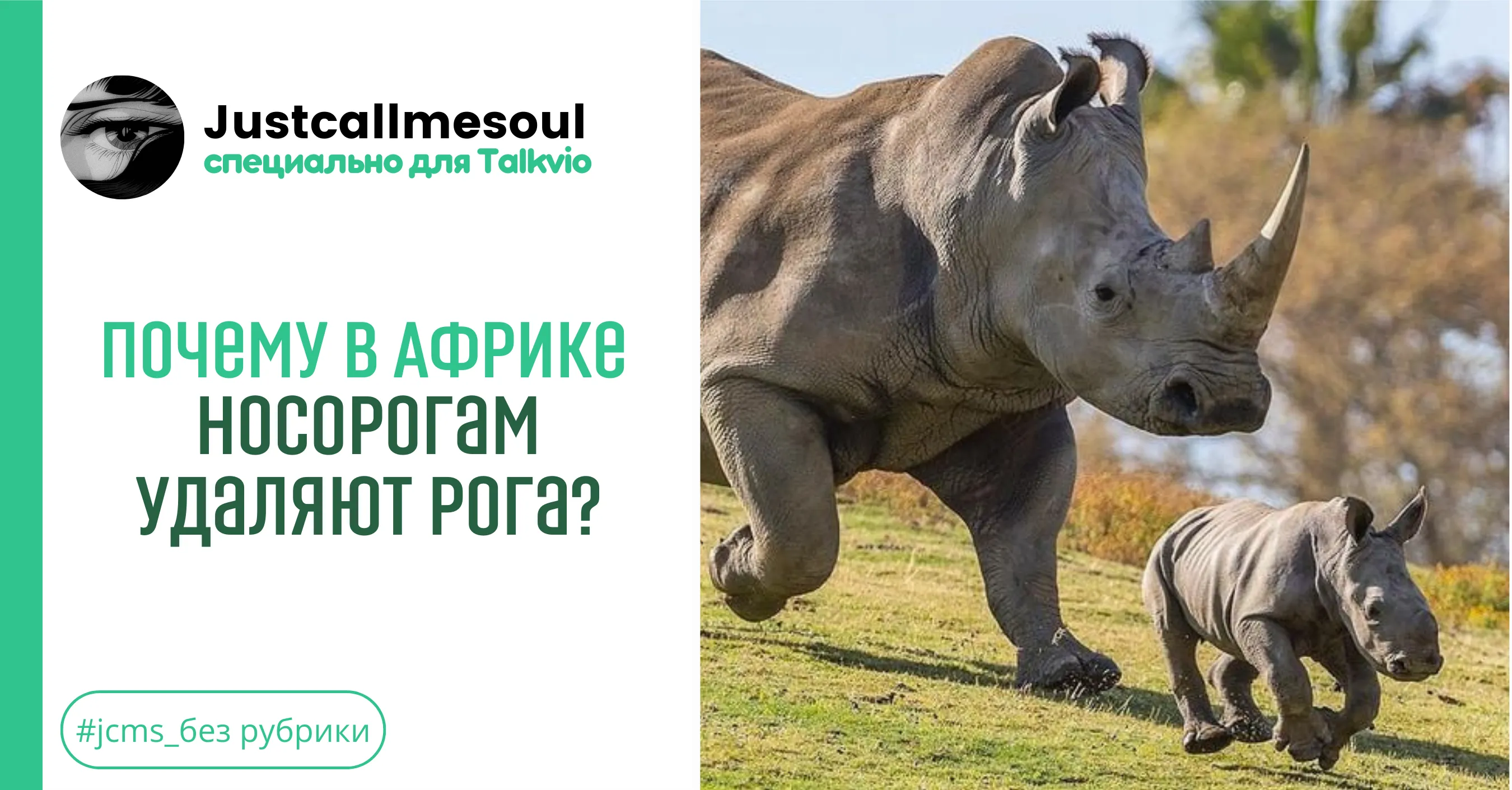 Почему в Африке носорогам удаляют рога?! #1