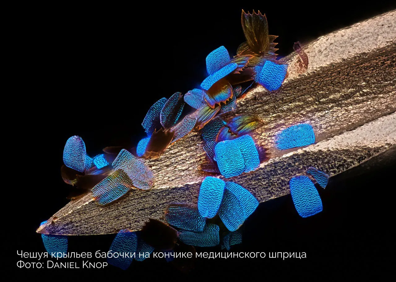 Ловите еще несколько шикарных фоток! #4