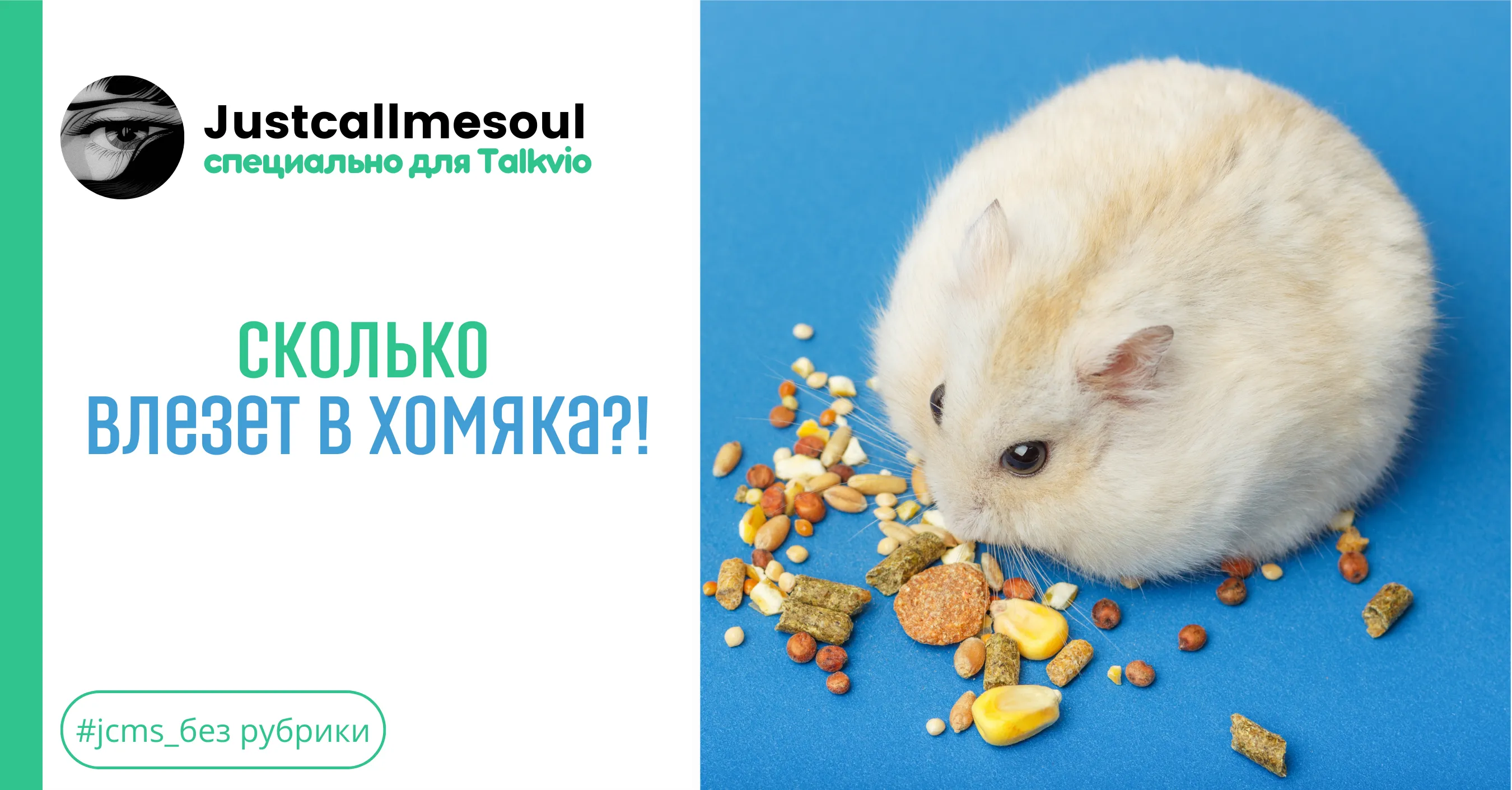 Сколько влезет в хомяка?! #1