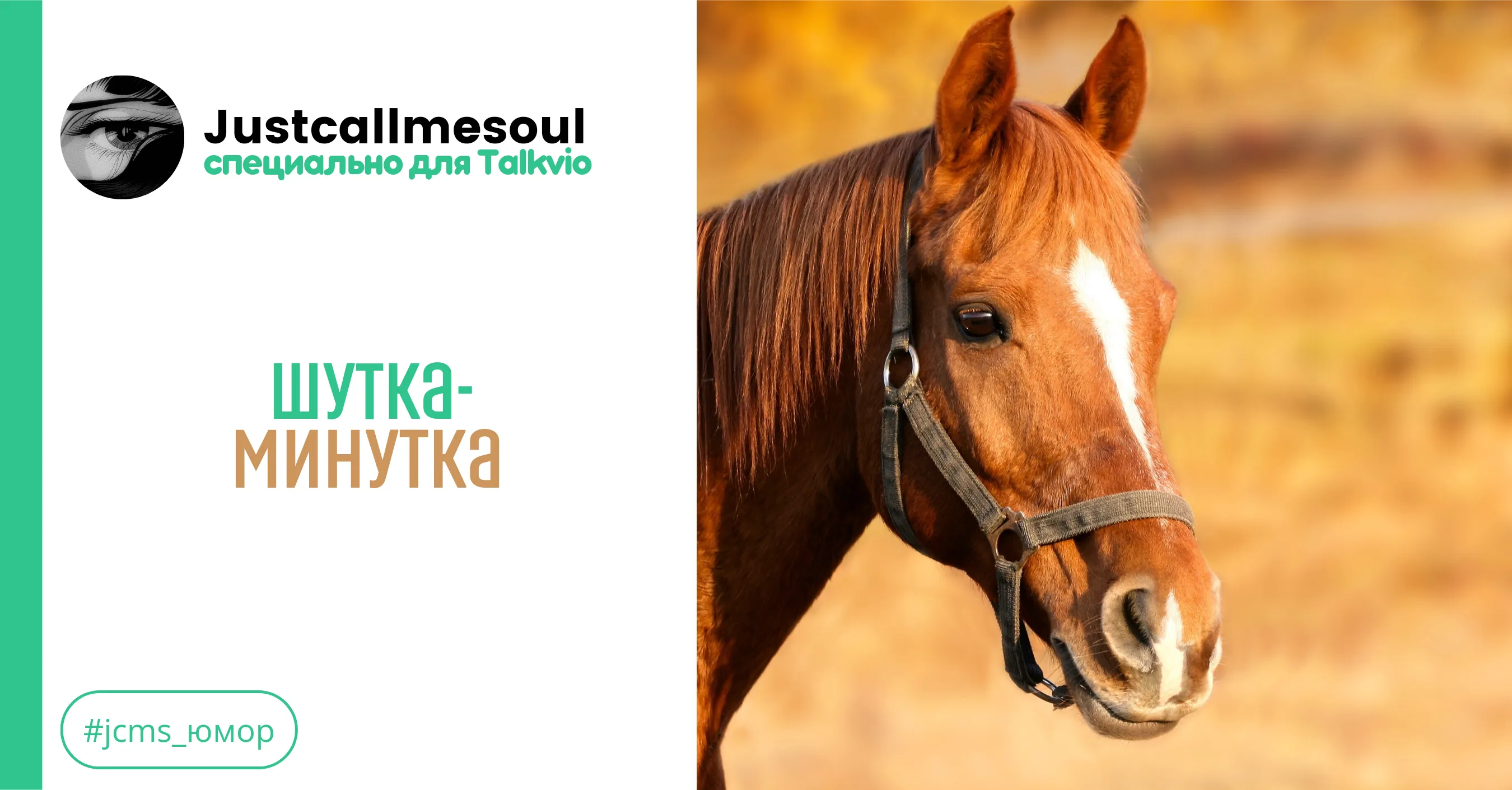 Шутка-минутка #1