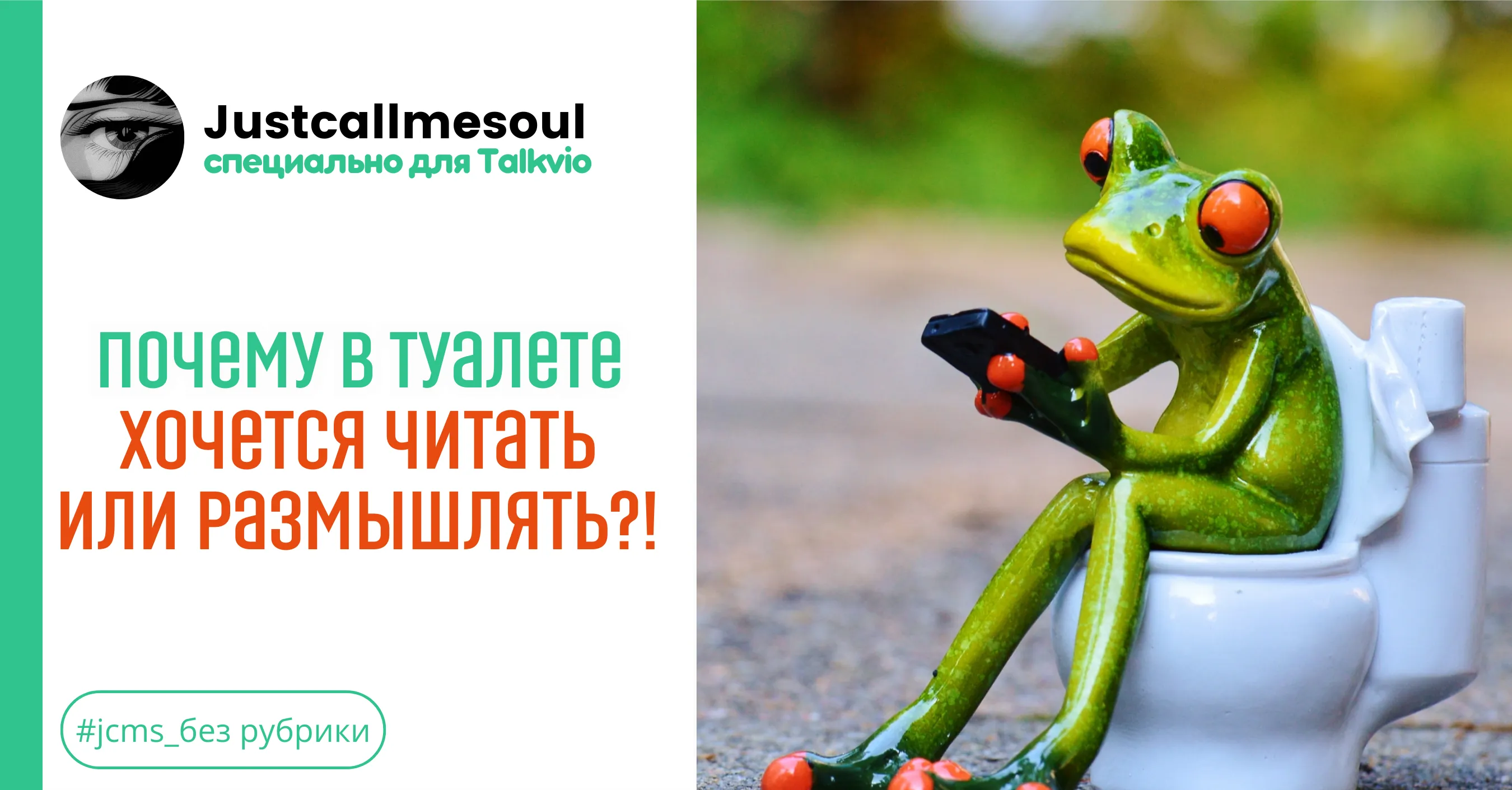 Почему в туалете хочется читать или размышлять?! #1