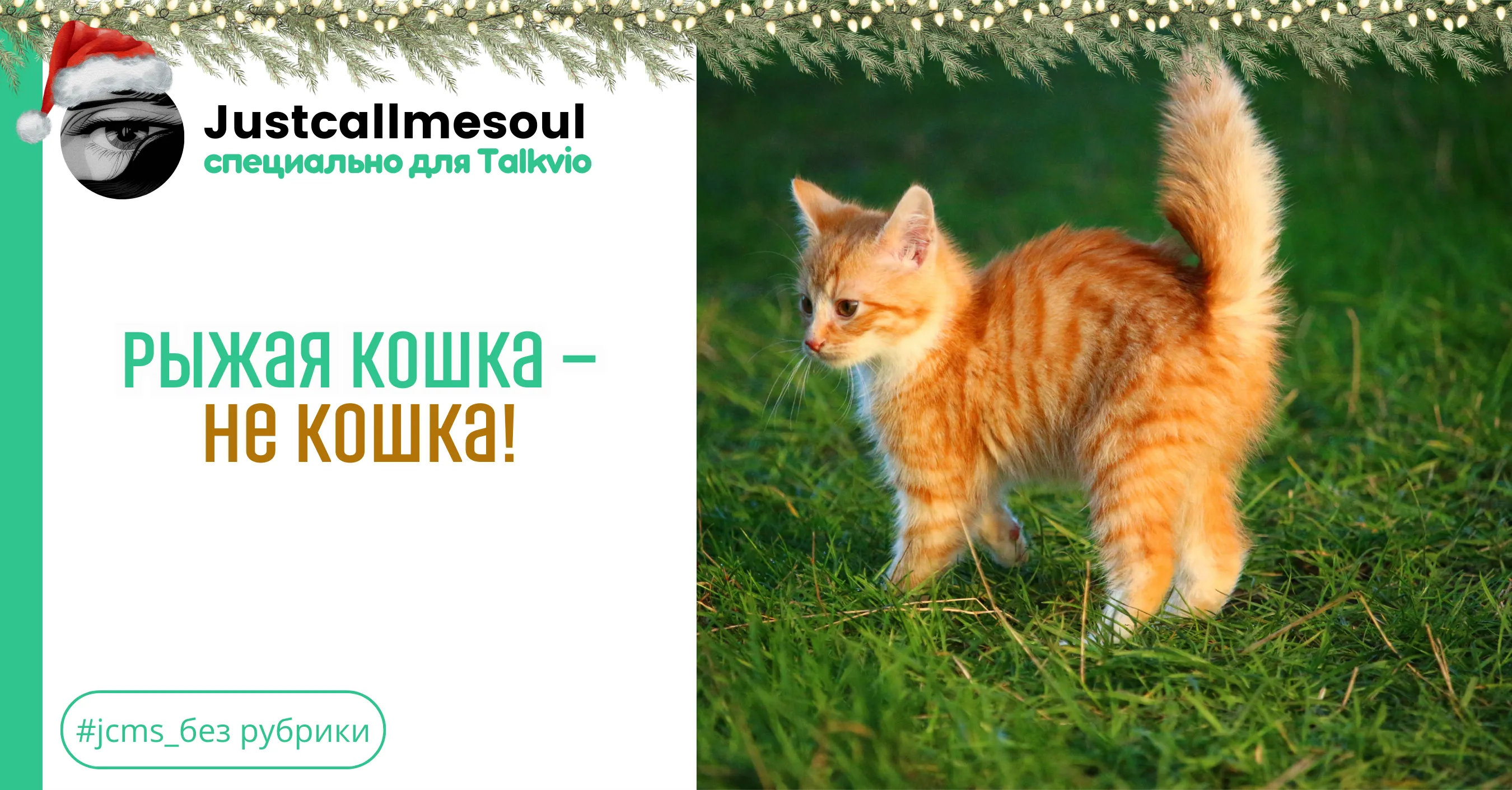 Рыжая кошка — не кошка! #1