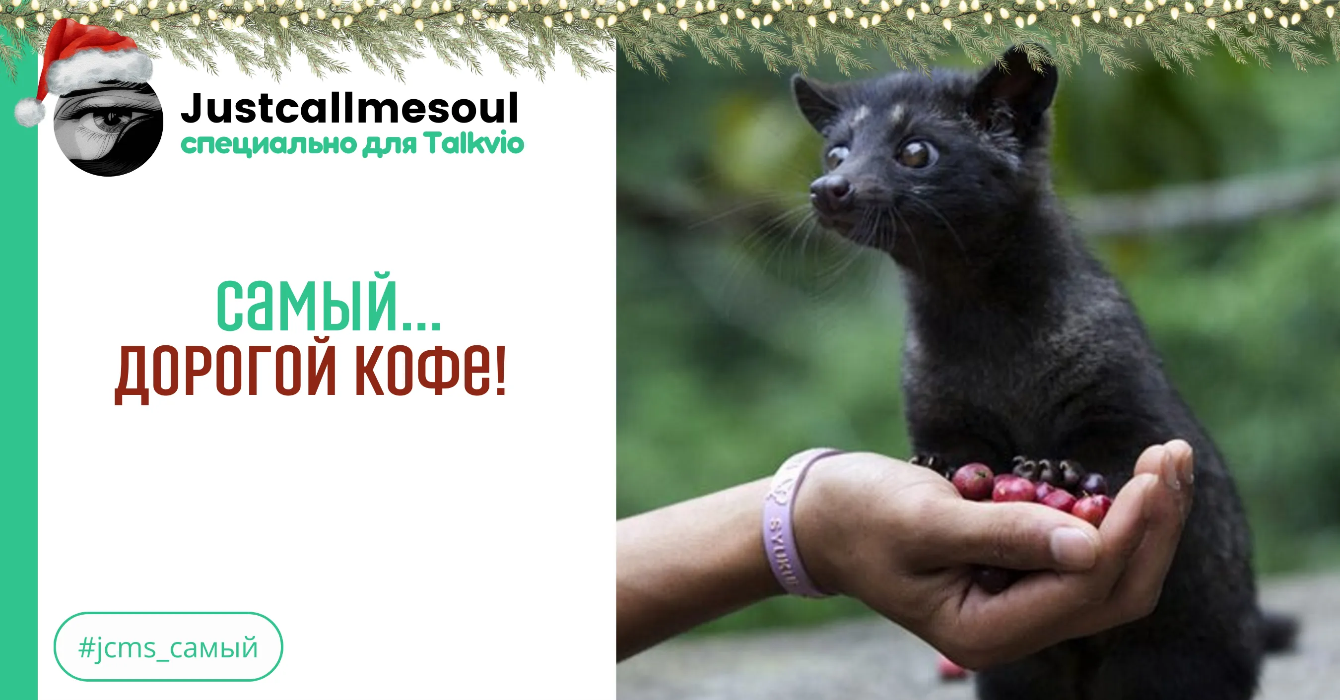 Самый...дорогой кофе! #1