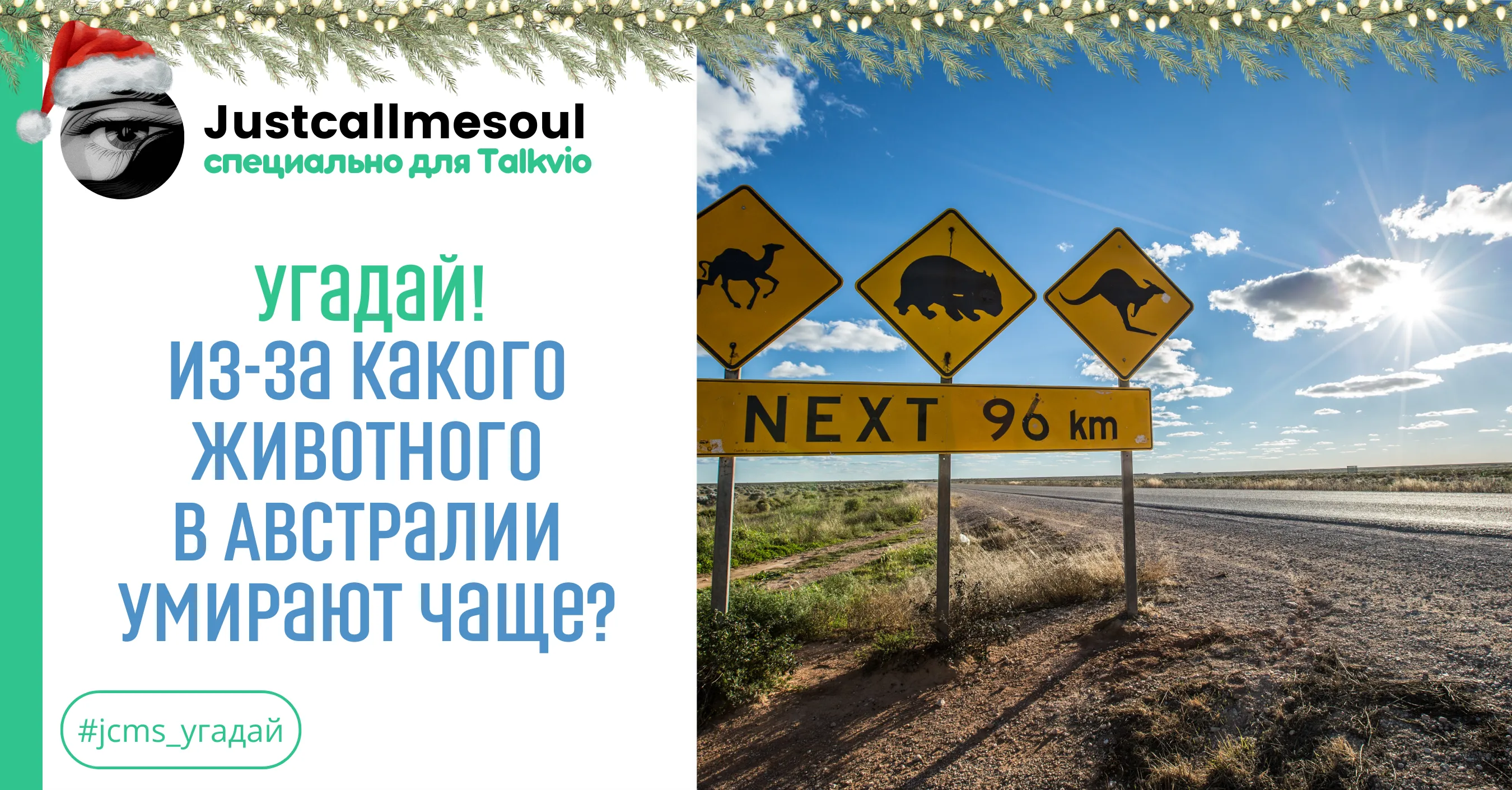 Угадай! Из-за какого животного в Австралии умирают чаще? #1
