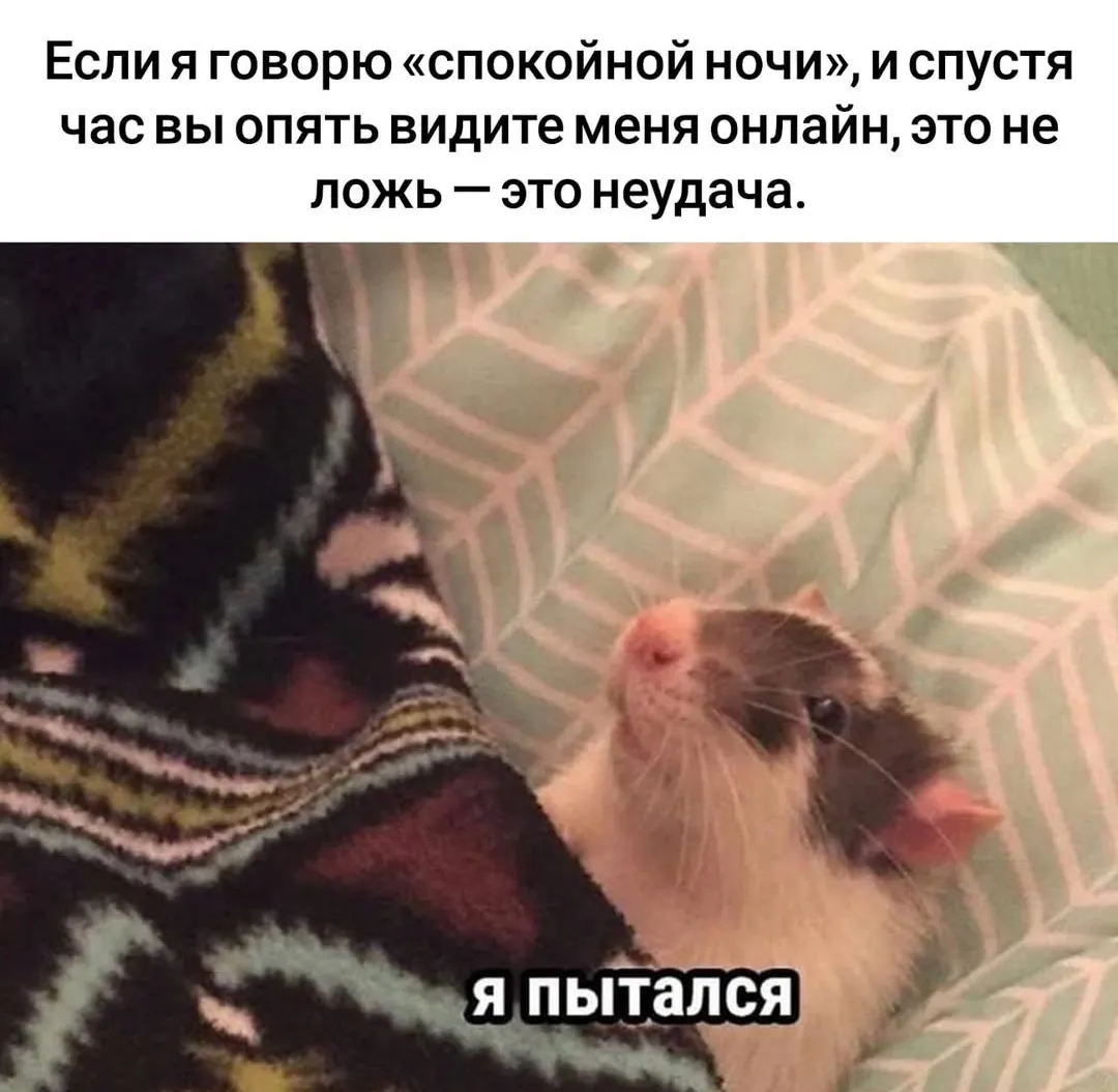 Честное слово! D: #1