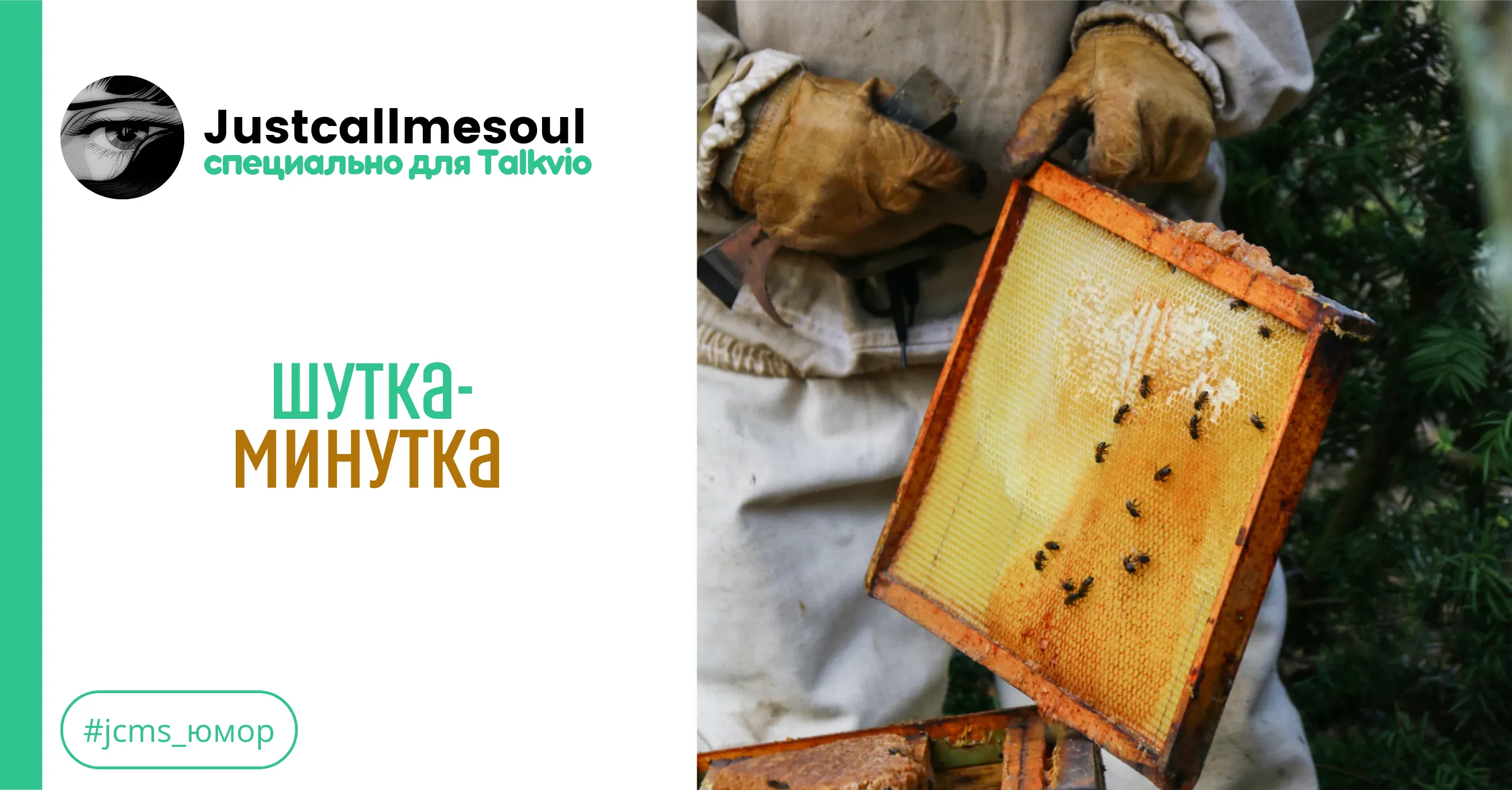 Шутка-минутка #1