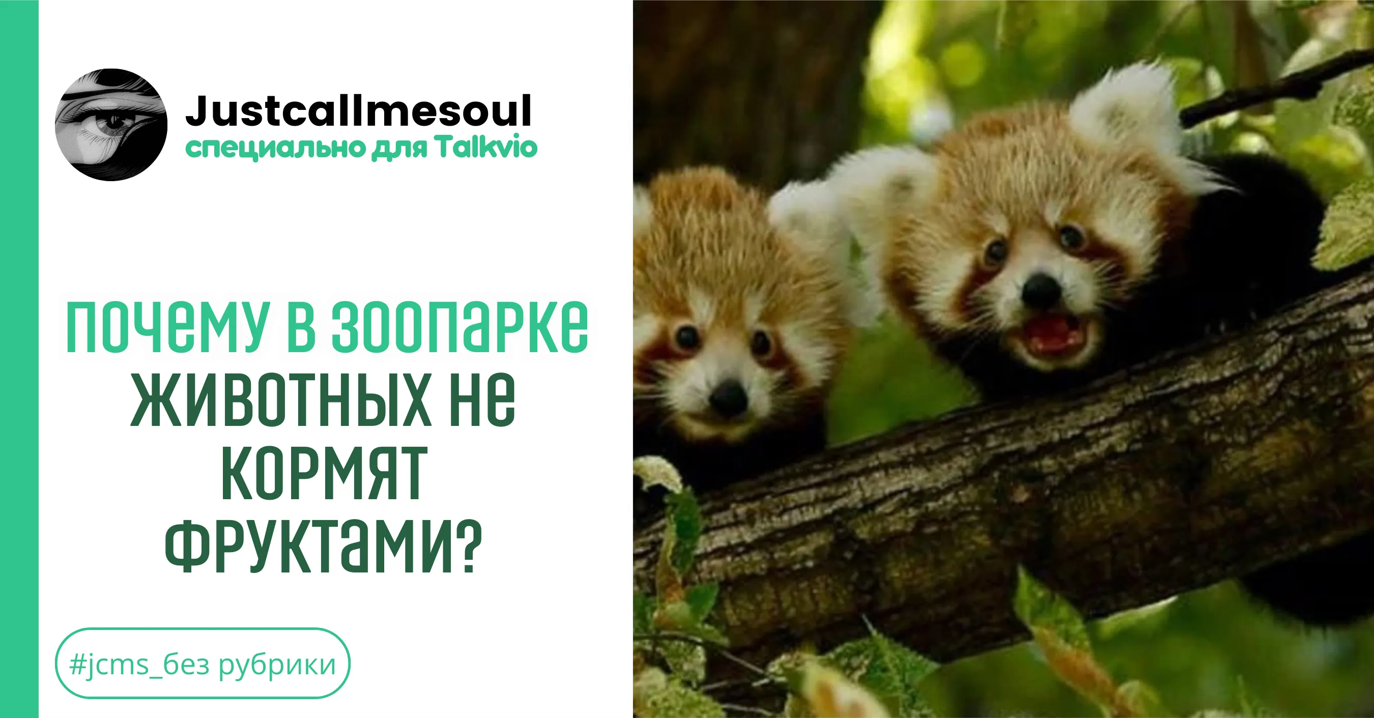 Почему в зоопарке животных не кормят фруктами? #1
