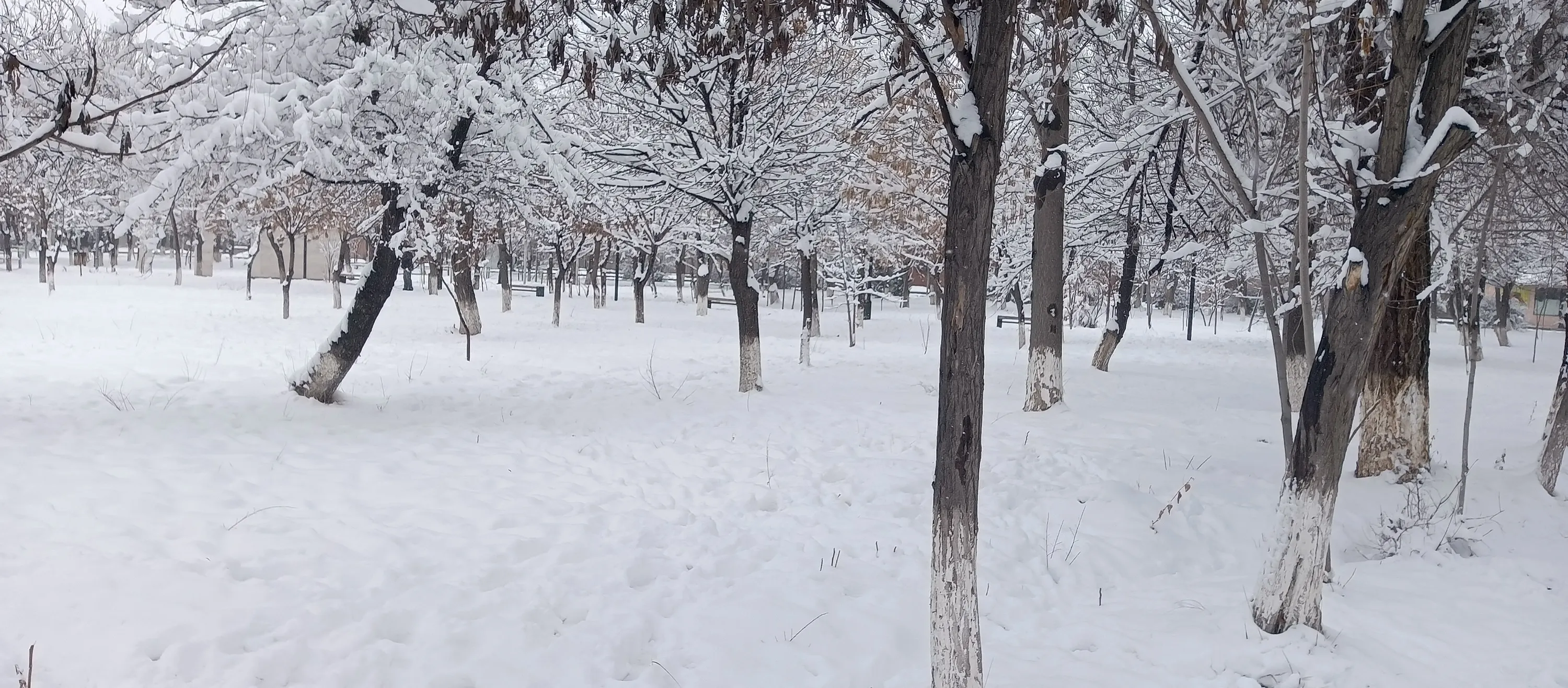 Ловите красивые фотки местной зимы! #3