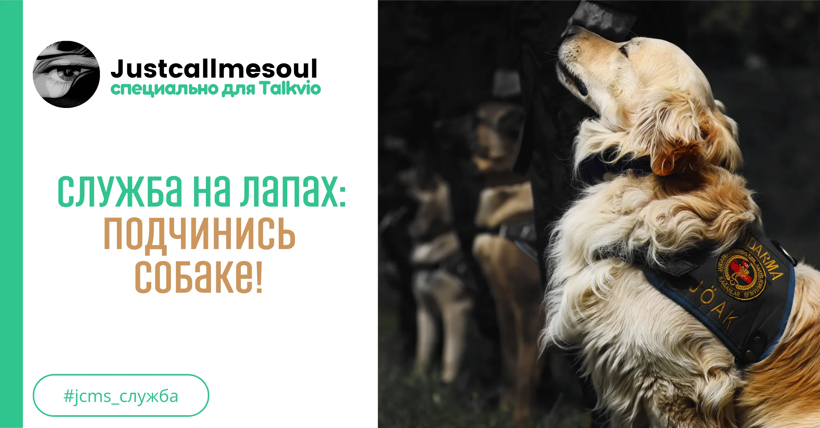 Служба на лапах: Подчинись собаке! #1
