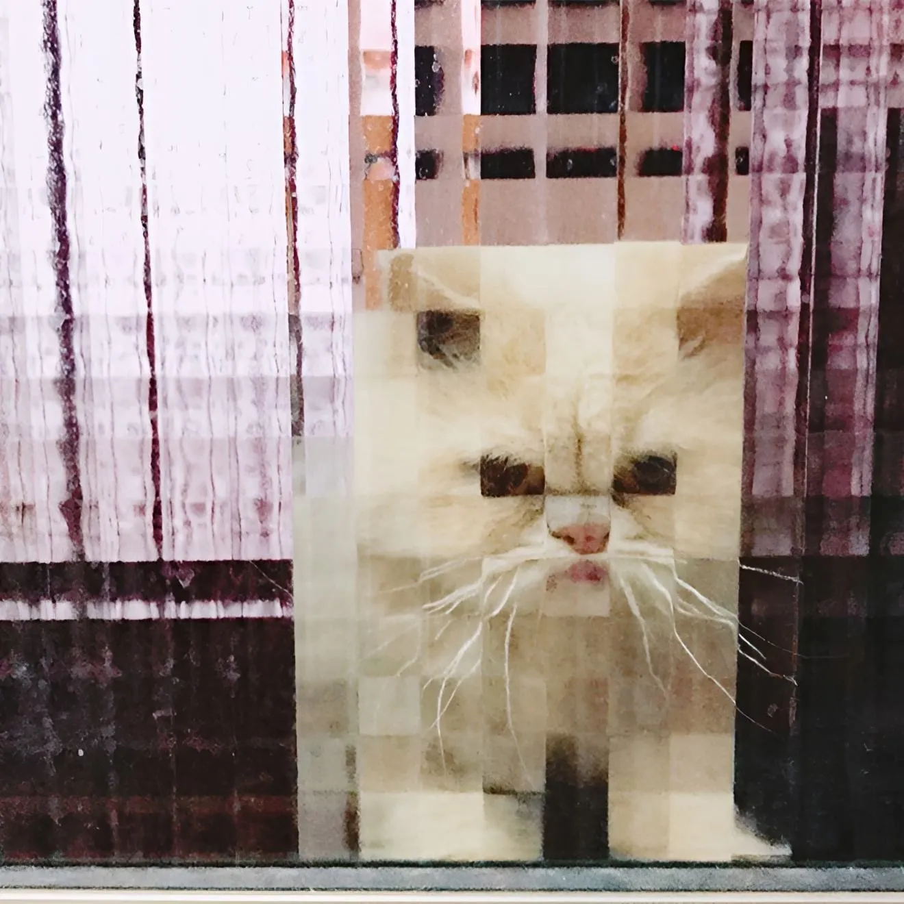 Еще одна подборочка фоток! #10