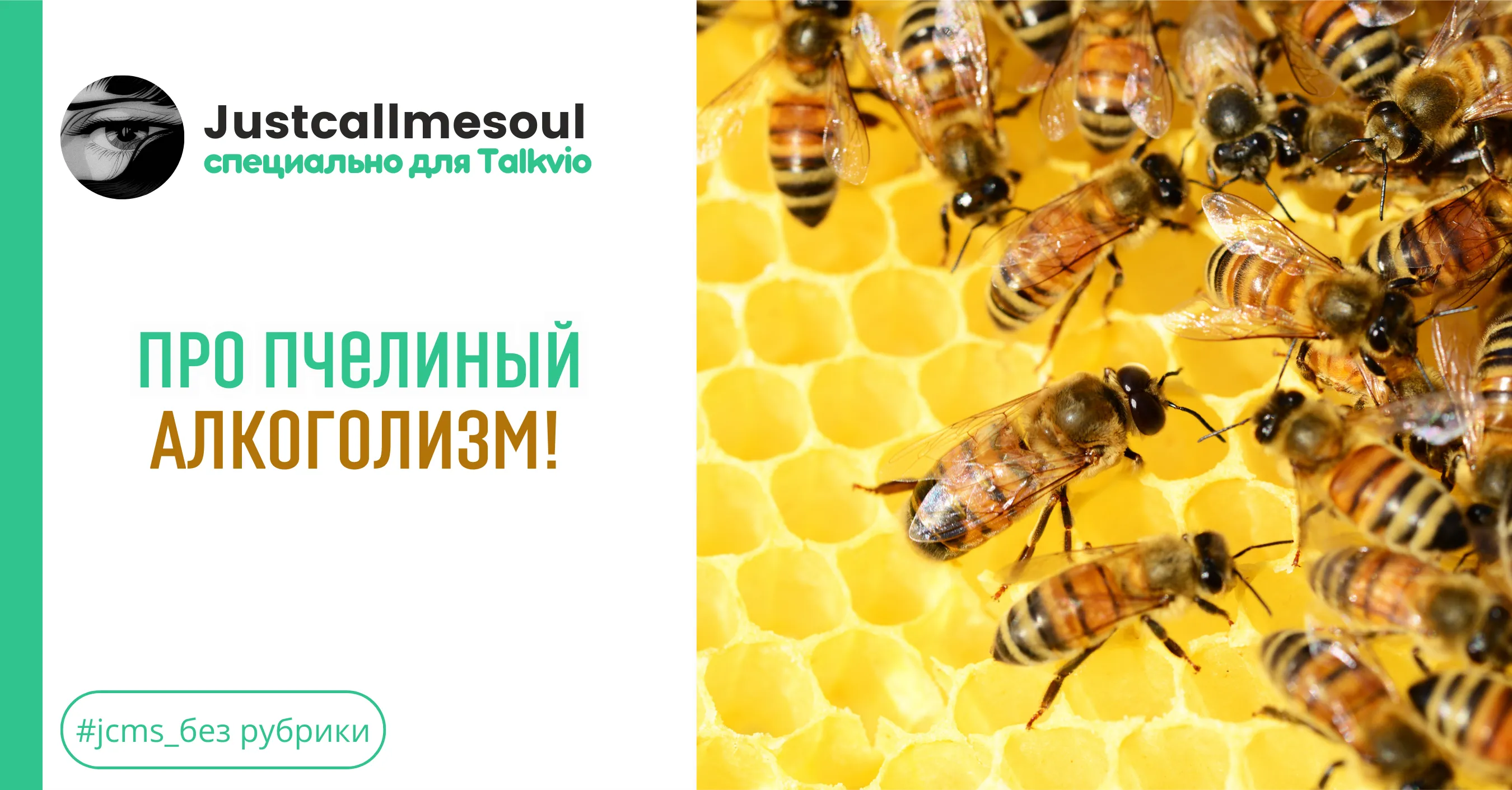 Про пчелиный алкоголизм! #1