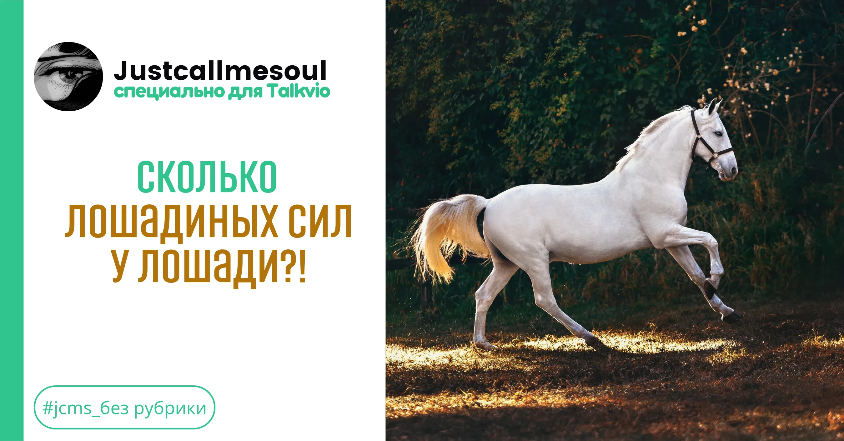 Сколько лошадиных сил у...лошади?! #1