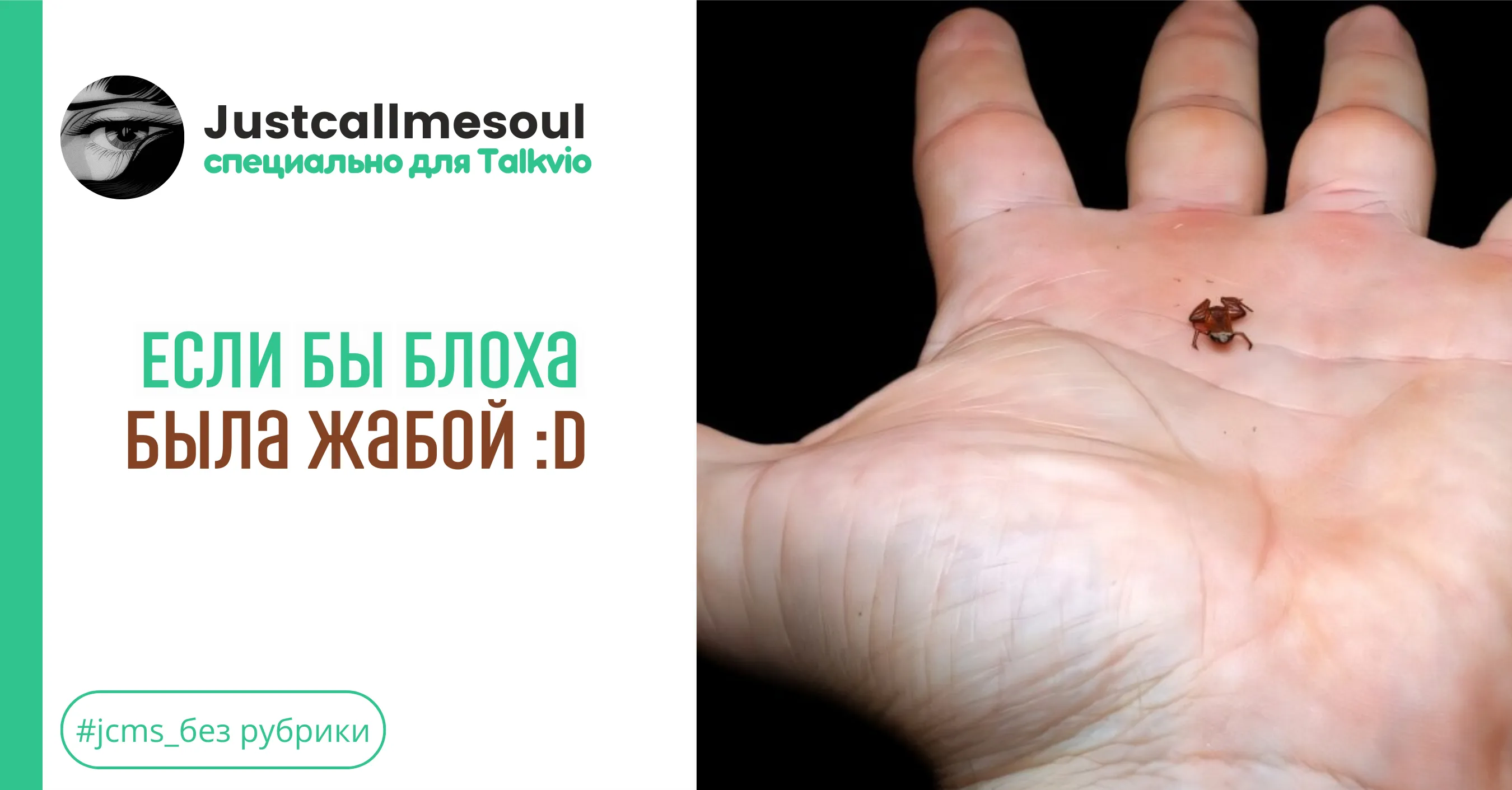 Если бы блоха была жабой :D #1