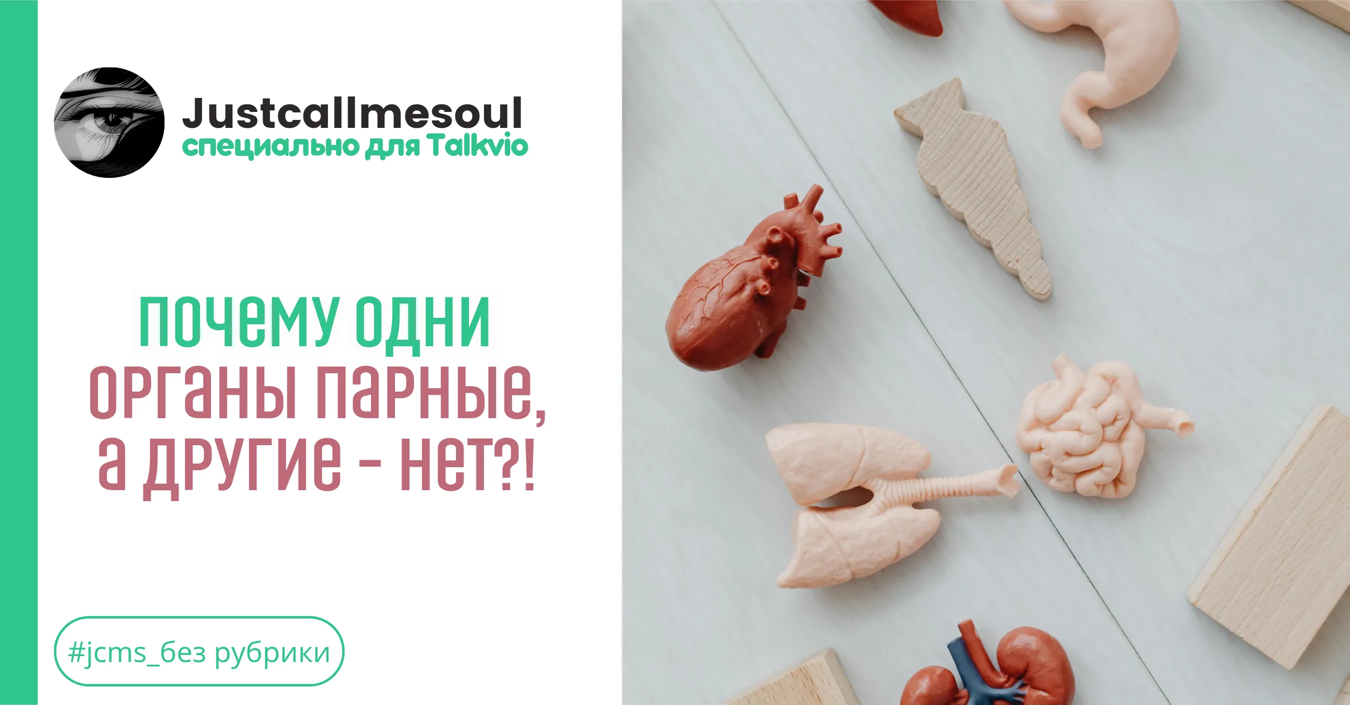 Почему одни органы парные, а другие – нет? #1