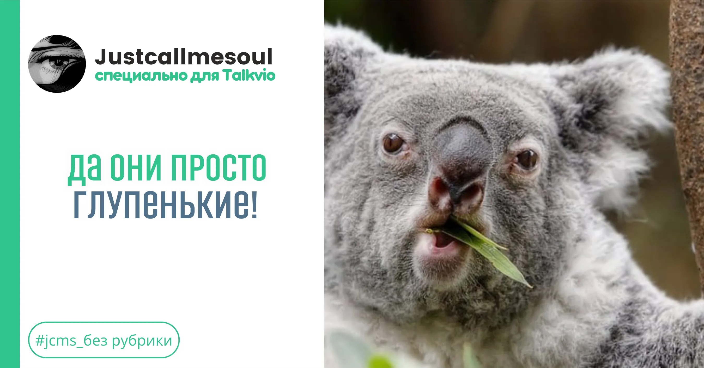 Да они просто глупенькие! #1