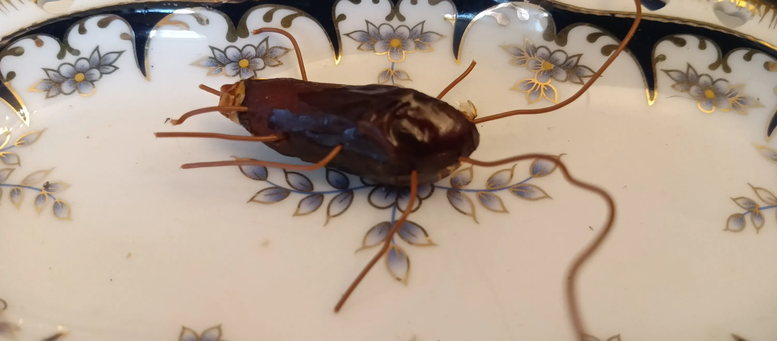 Австралия на дому короче...