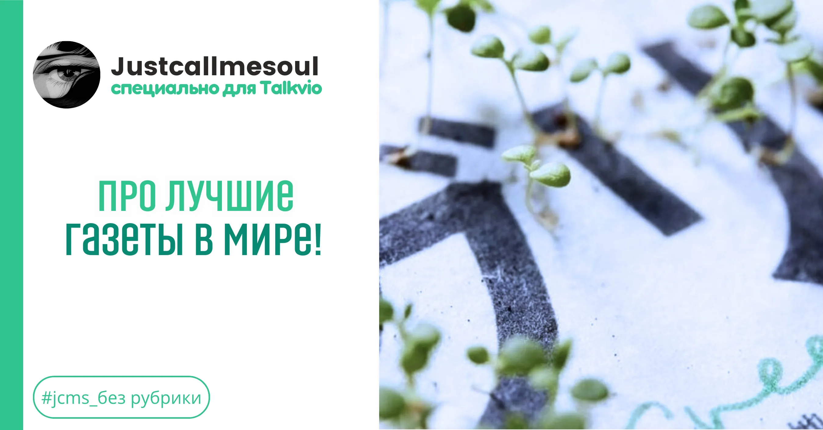 Экологичная газета, которую можно посадить в землю #1