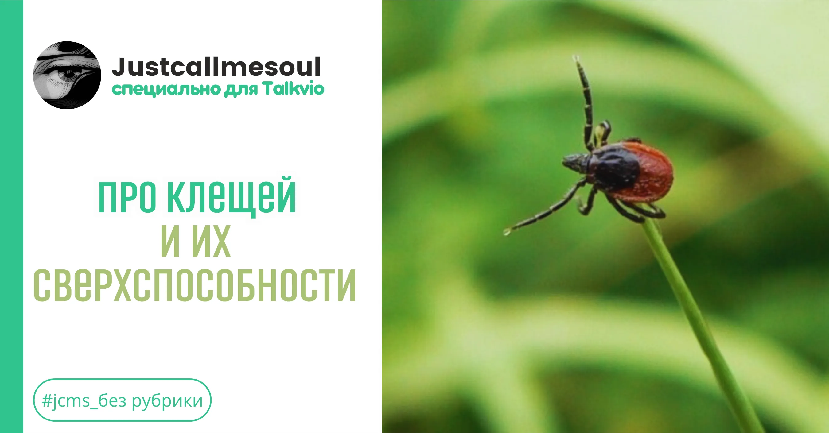 Про клещей и их сверхспособности #2
