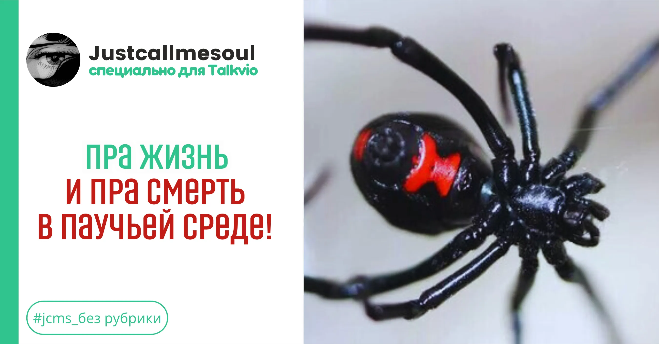 Пра жизнь и ПРА СМЕРТЬ в паучьей среде! #1