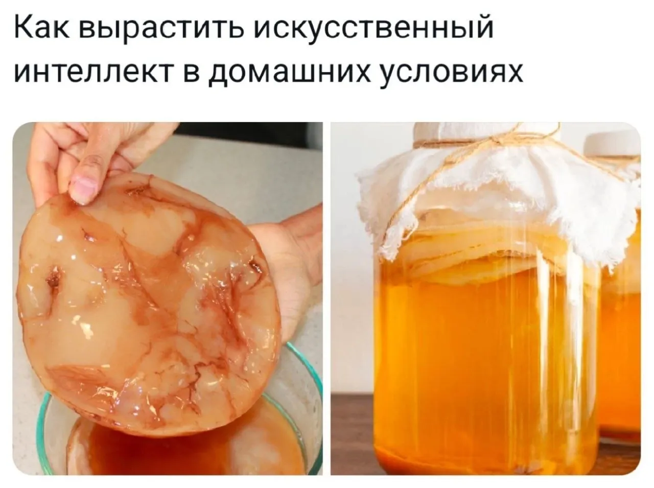 Я хихикаю, и вам предлагаю! #1