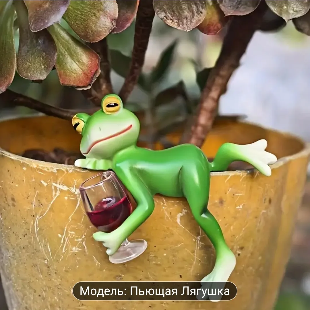 Для любителей среды, вина и суккулентов)