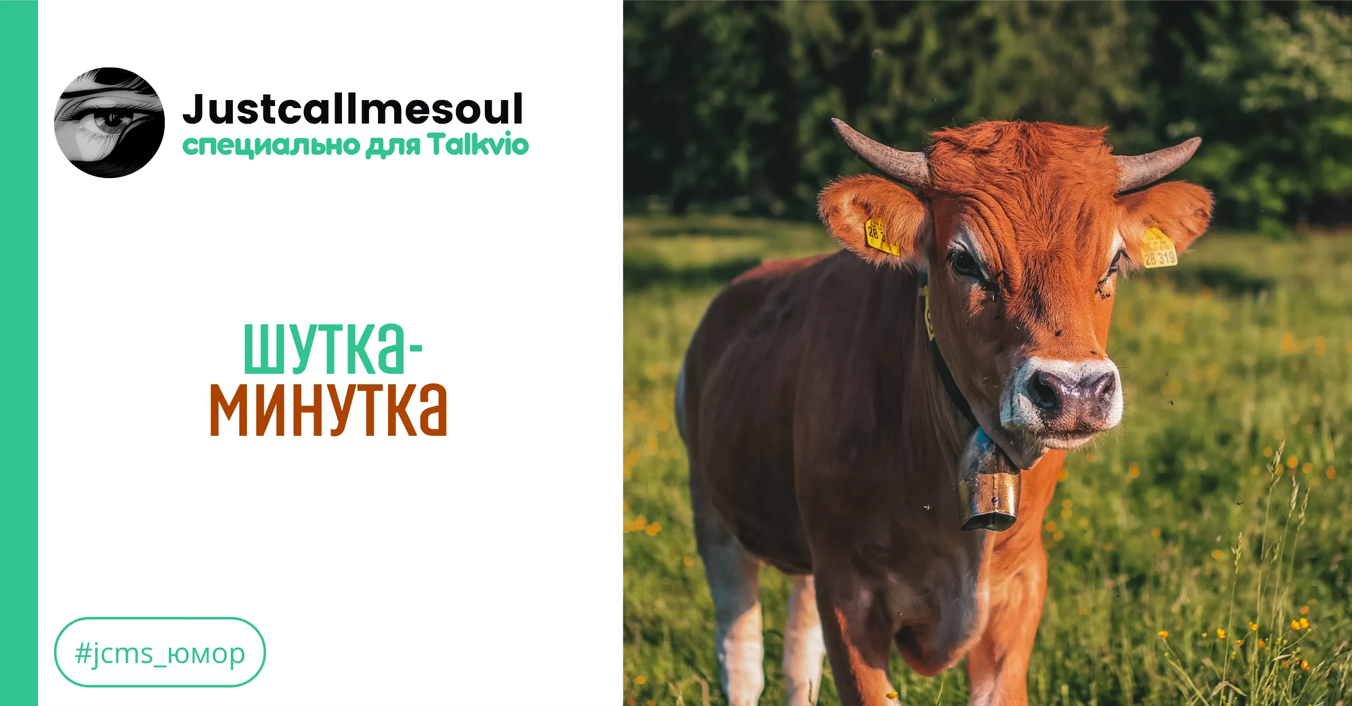 Шутка-минутка #1