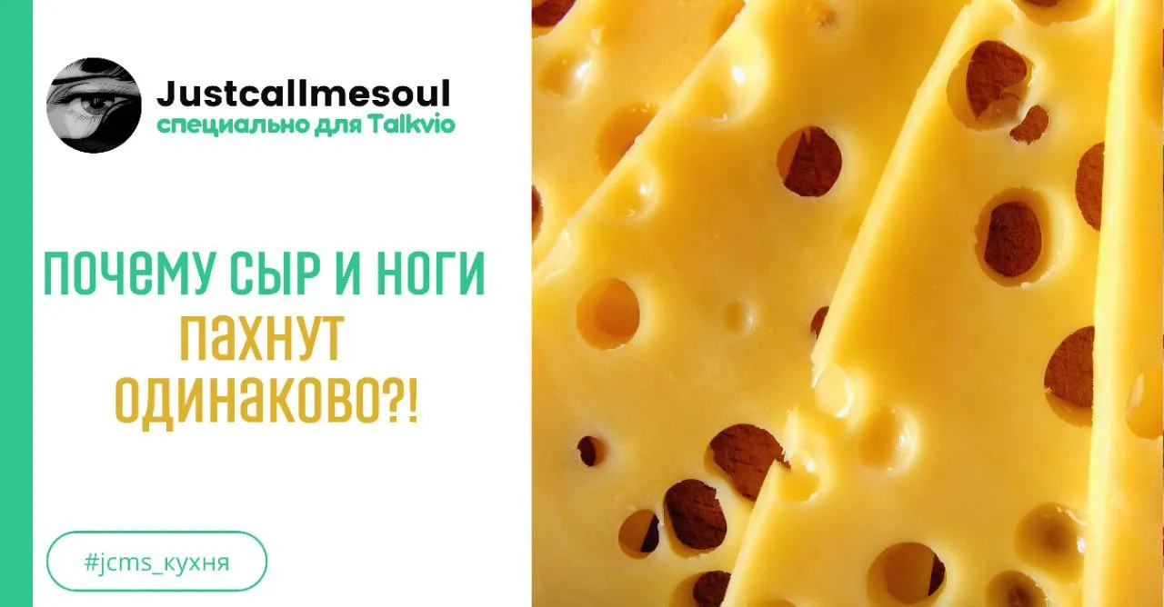  Почему сыр и ноги пахнут одинаково?! #1