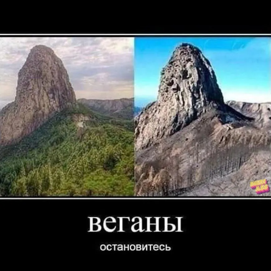 Оставлю это здесь... #2