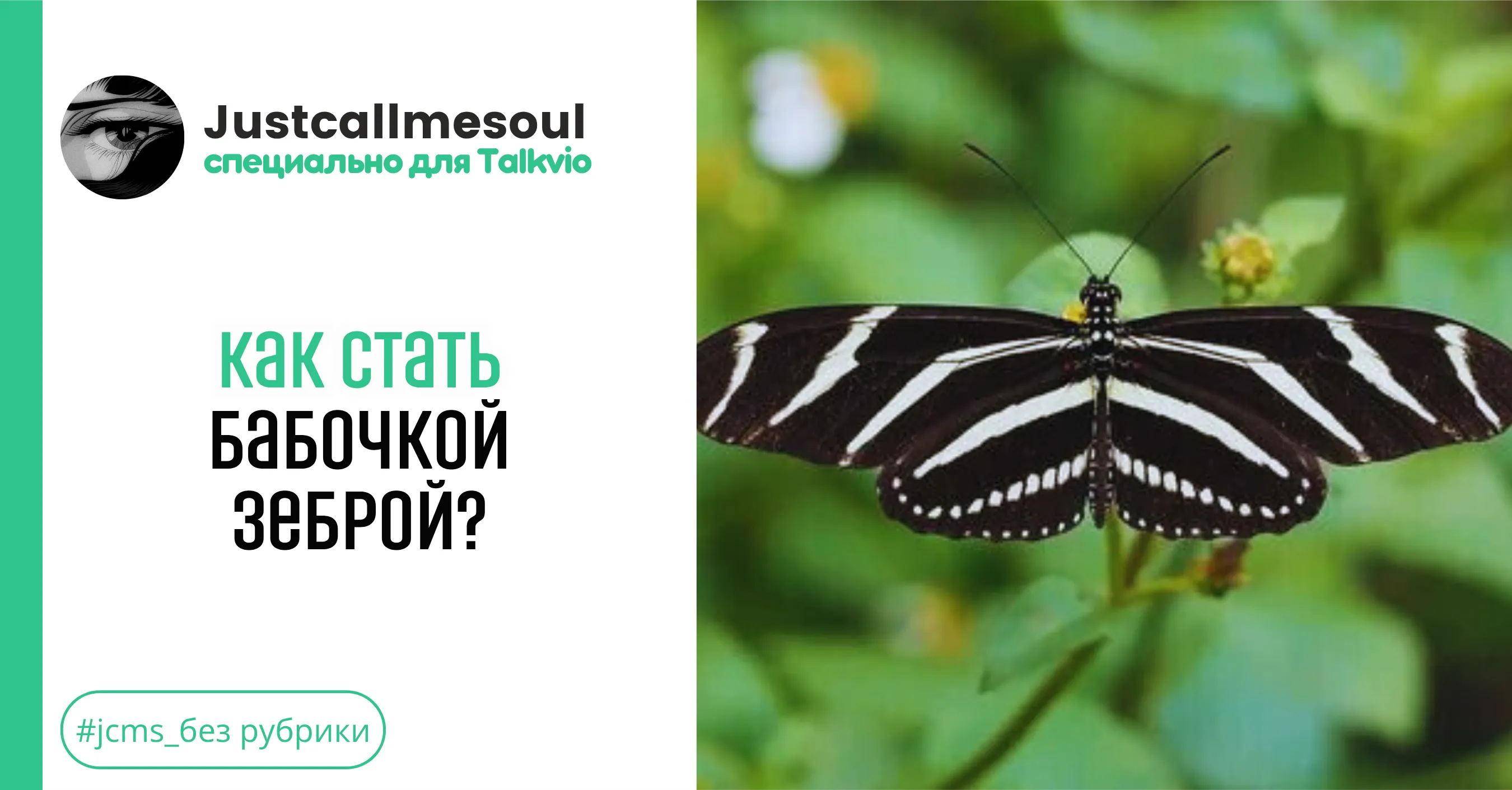 Как стать бабочкой-зеброй? #1