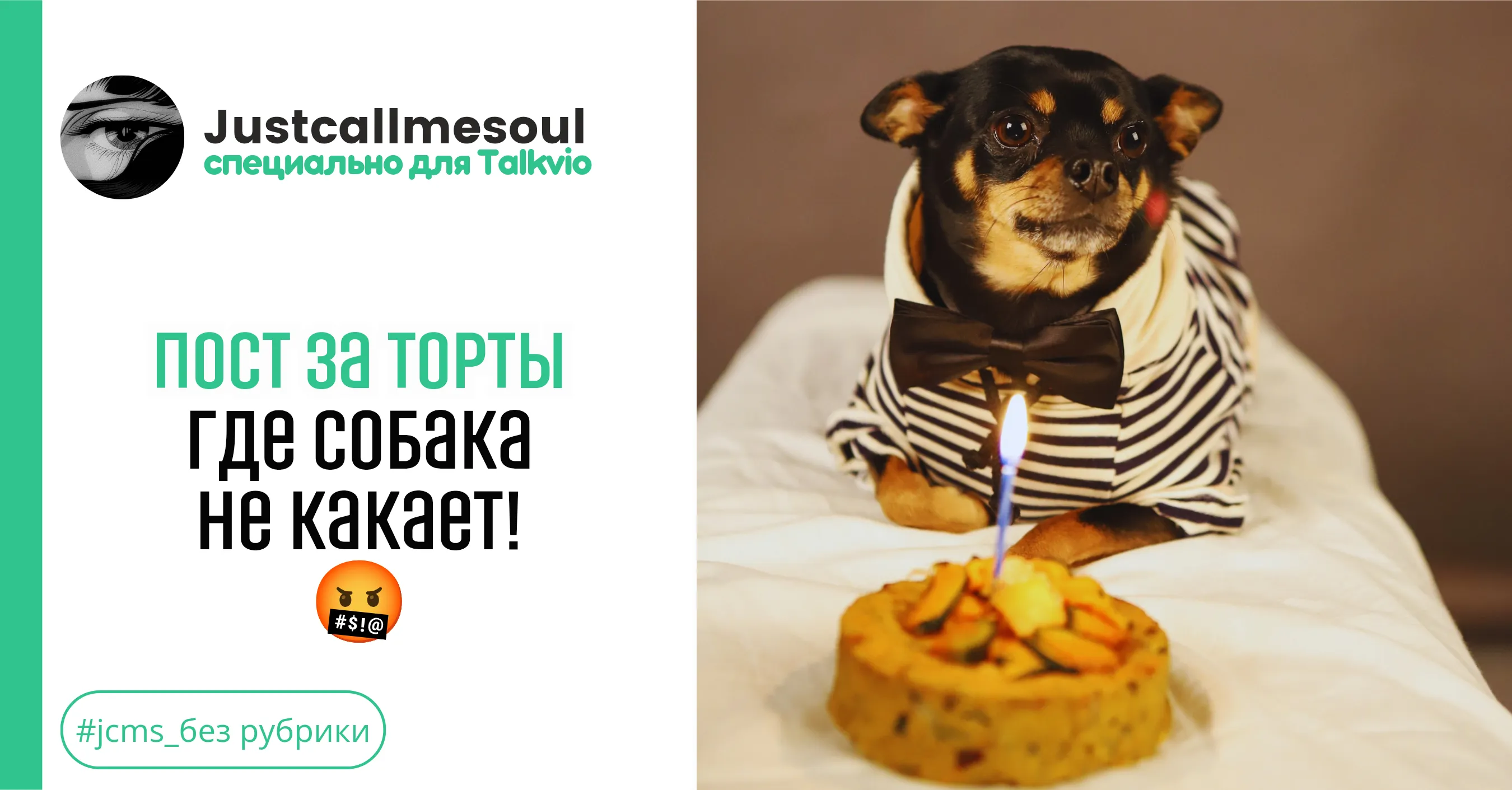 Пост за торты, где собака не какает!🤬 #1
