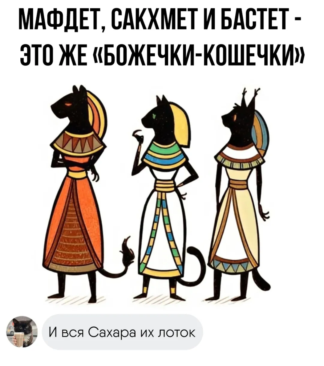 Шутачька :3 #1