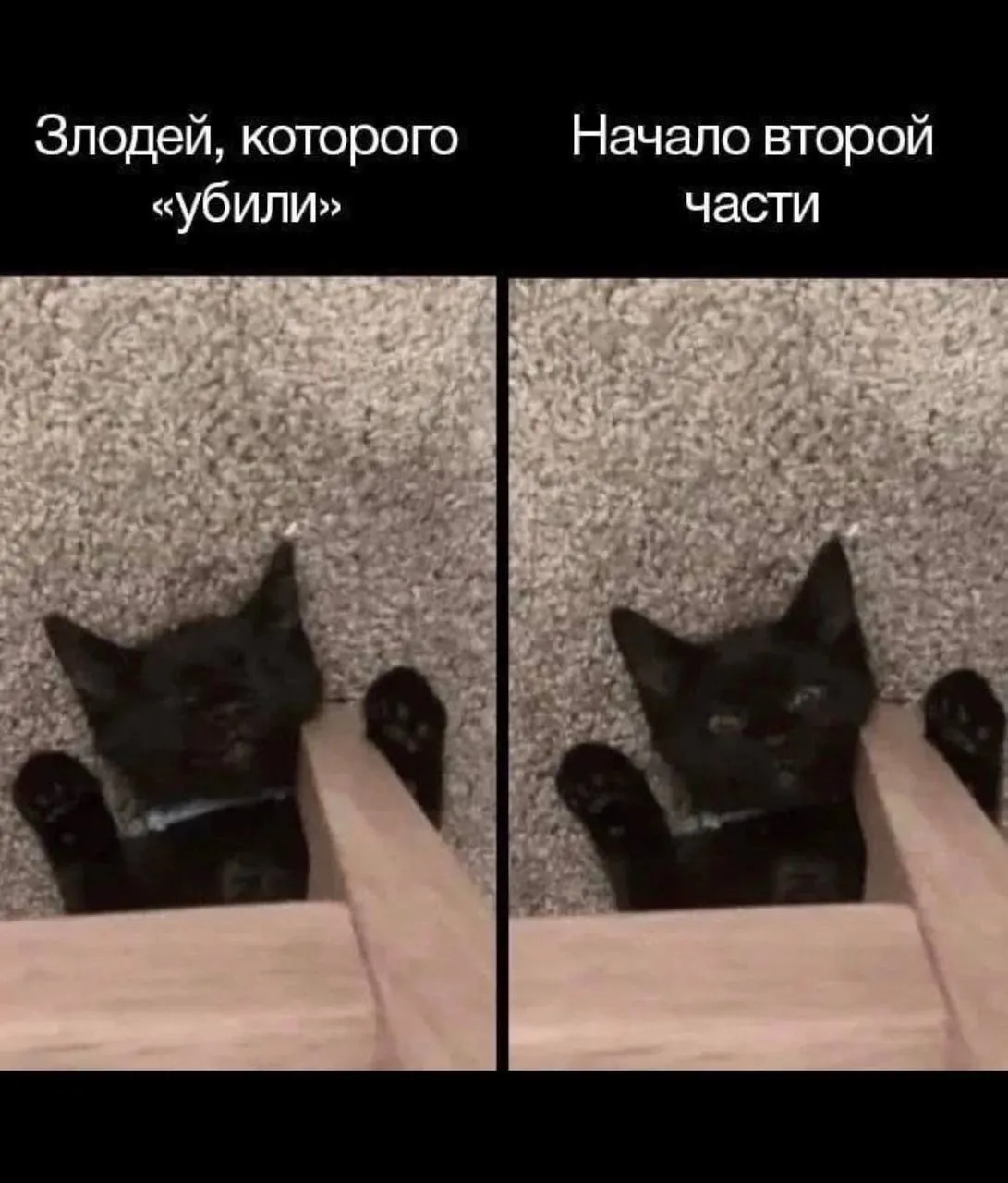 Слишком жизненно! #2
