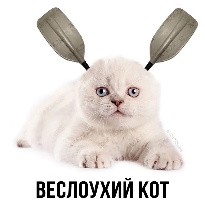 Подгон от шлакоблокуня #1 #2