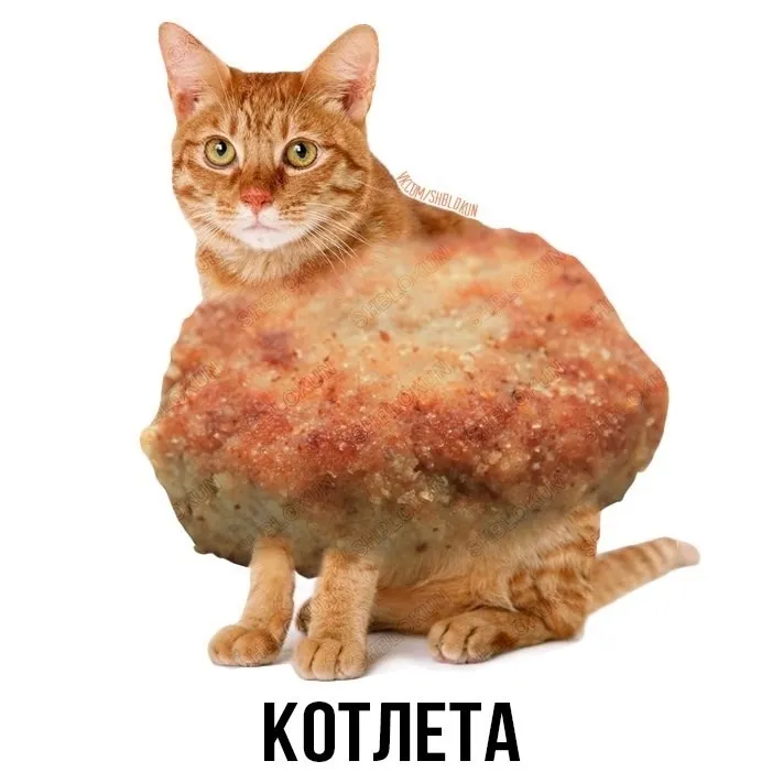 Подгон от шлакоблокуня #1 #3