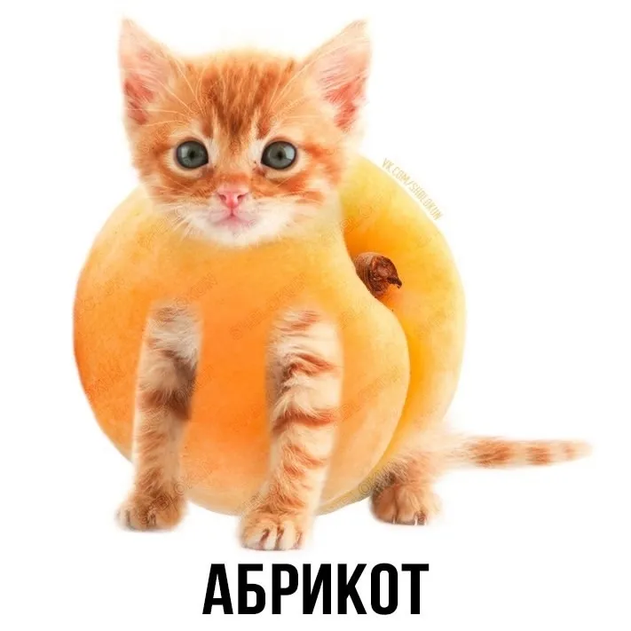 Подгон от шлакоблокуня #1 #6