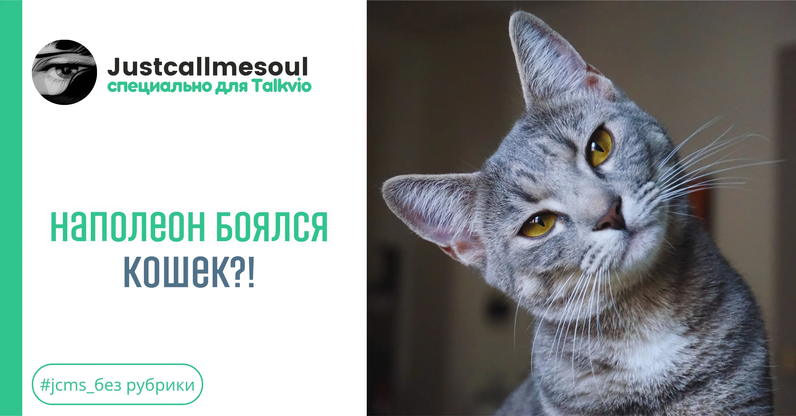 Наполеон боялся кошек?! #1