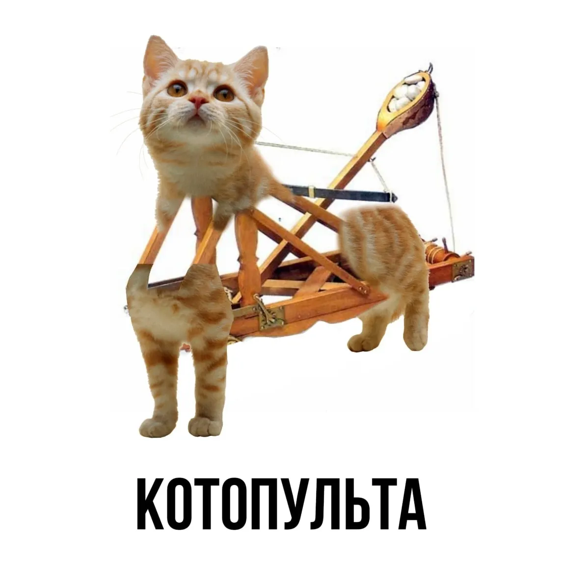 Подгон от шлакоблокуня! #2 #2