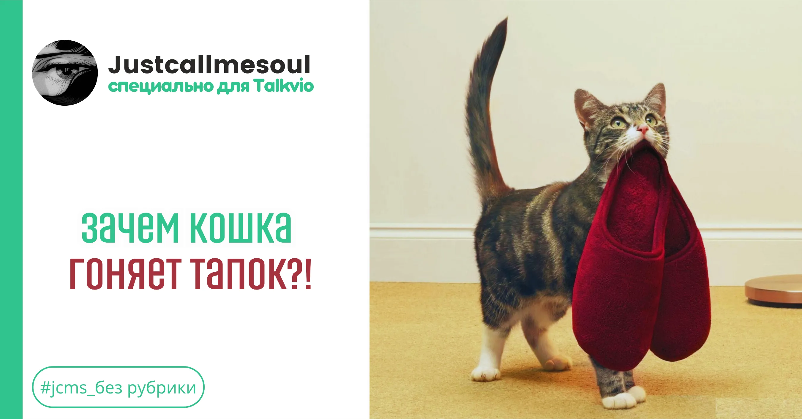 Зачем кошка гоняет тапок?!  #1