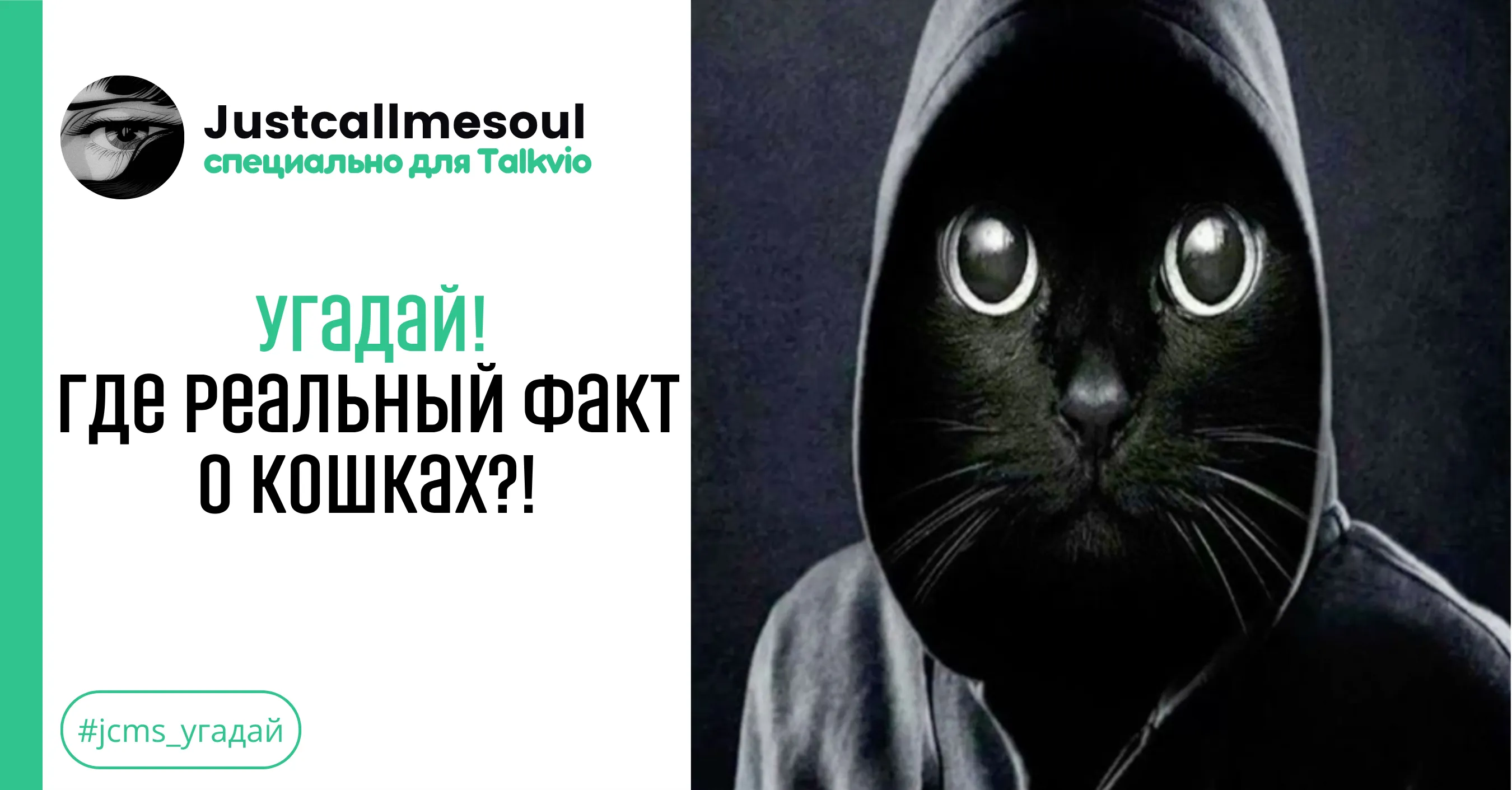 Угадай! Где реальный факт о кошках?! #1