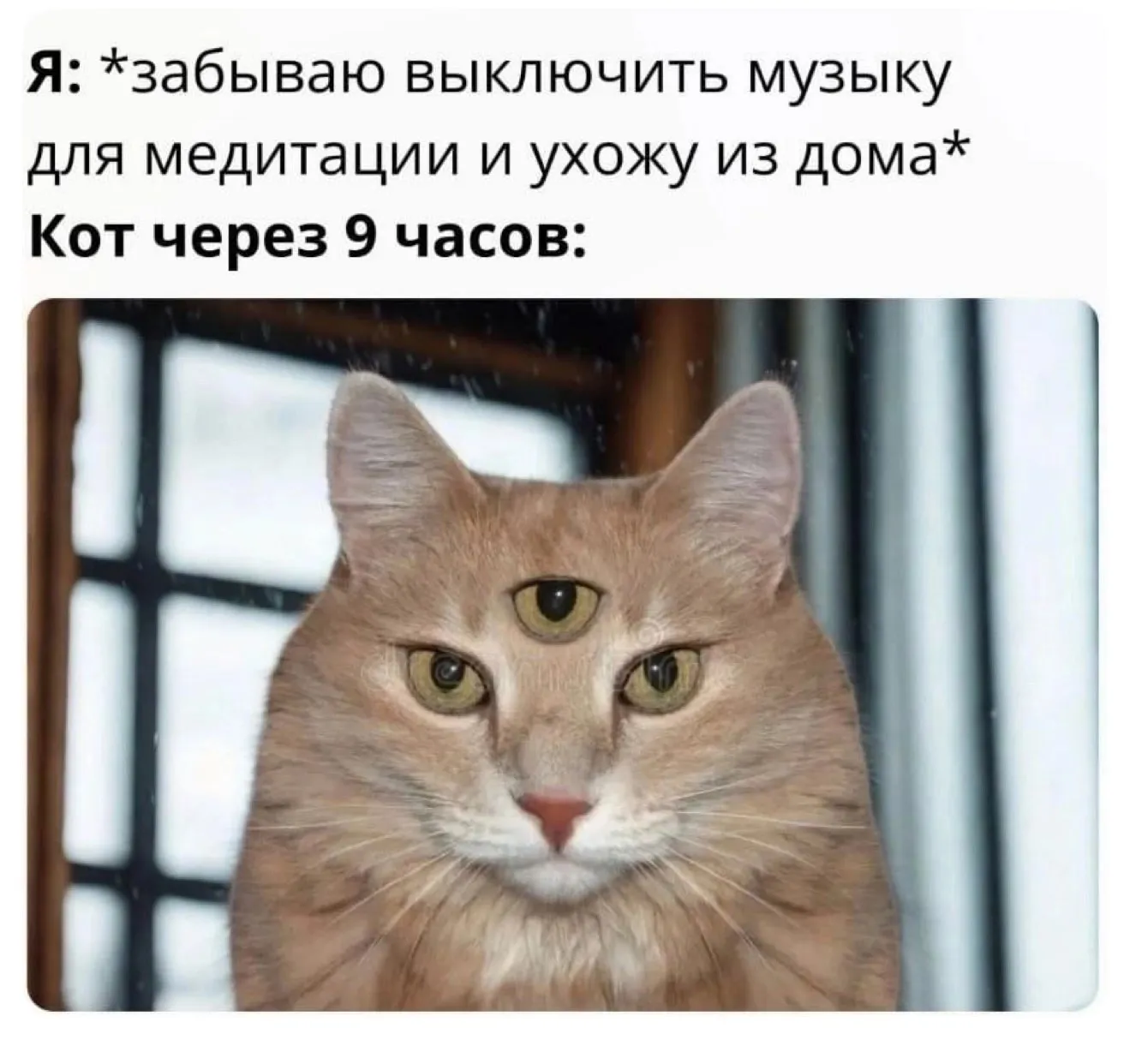 Оставлю это здесь #2