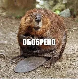 Приложение версии 0.7.0 на Android [фидбек] #1