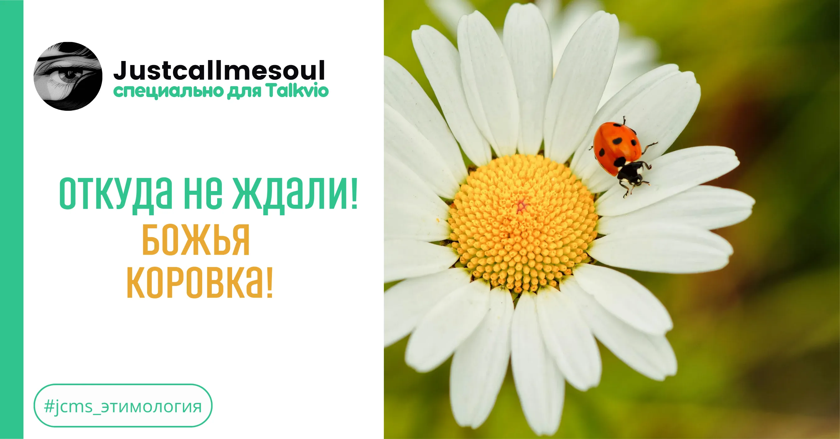 Откуда не ждали! Божья коровка! #1