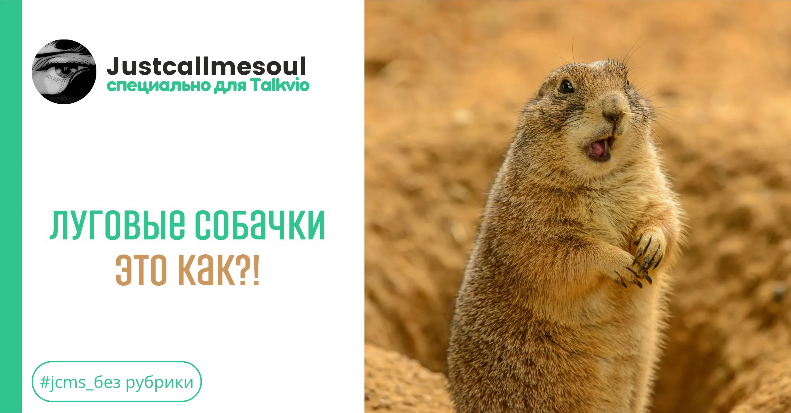 Луговые собачки это как?! #1