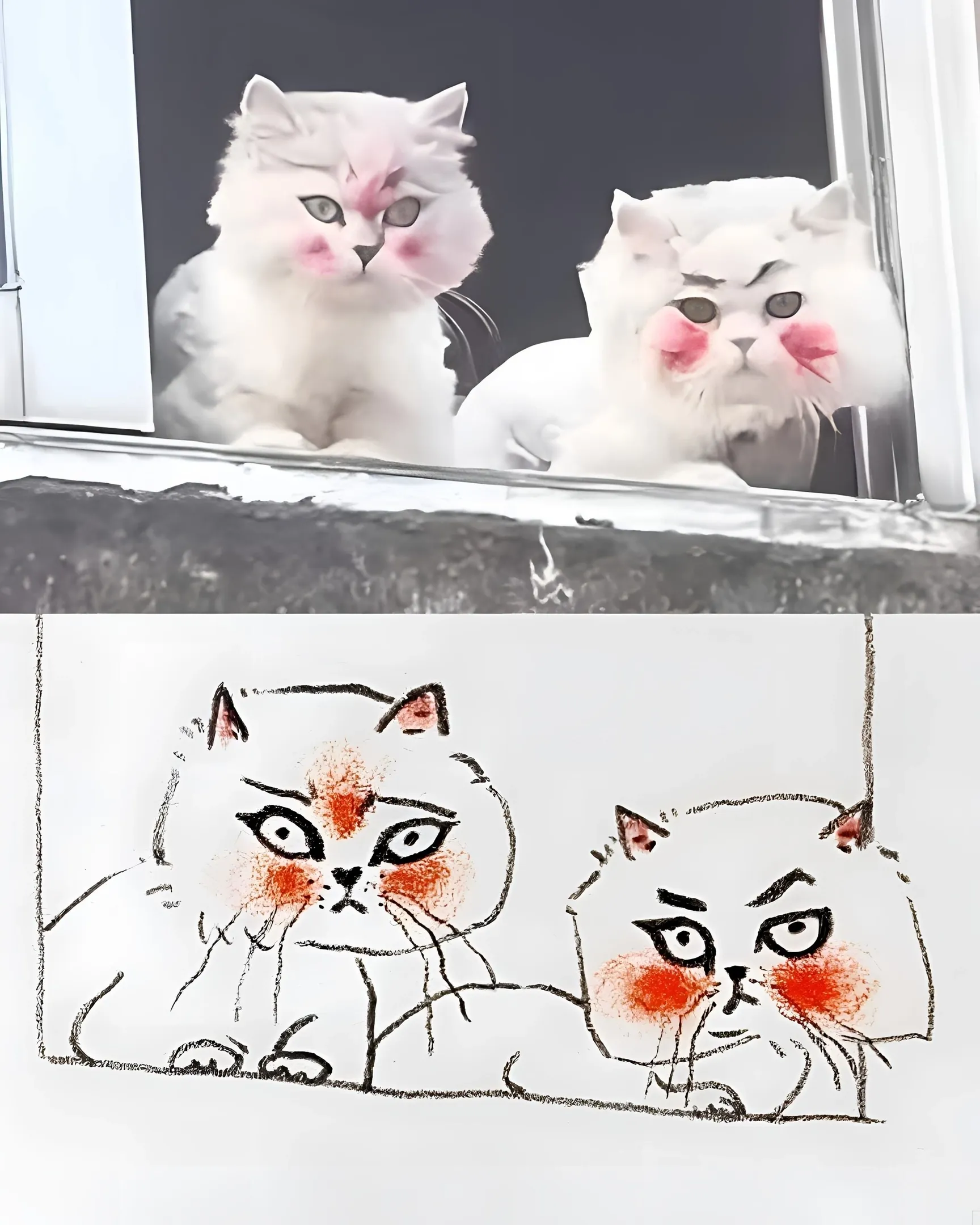Еще немного тех котичек :3 #3