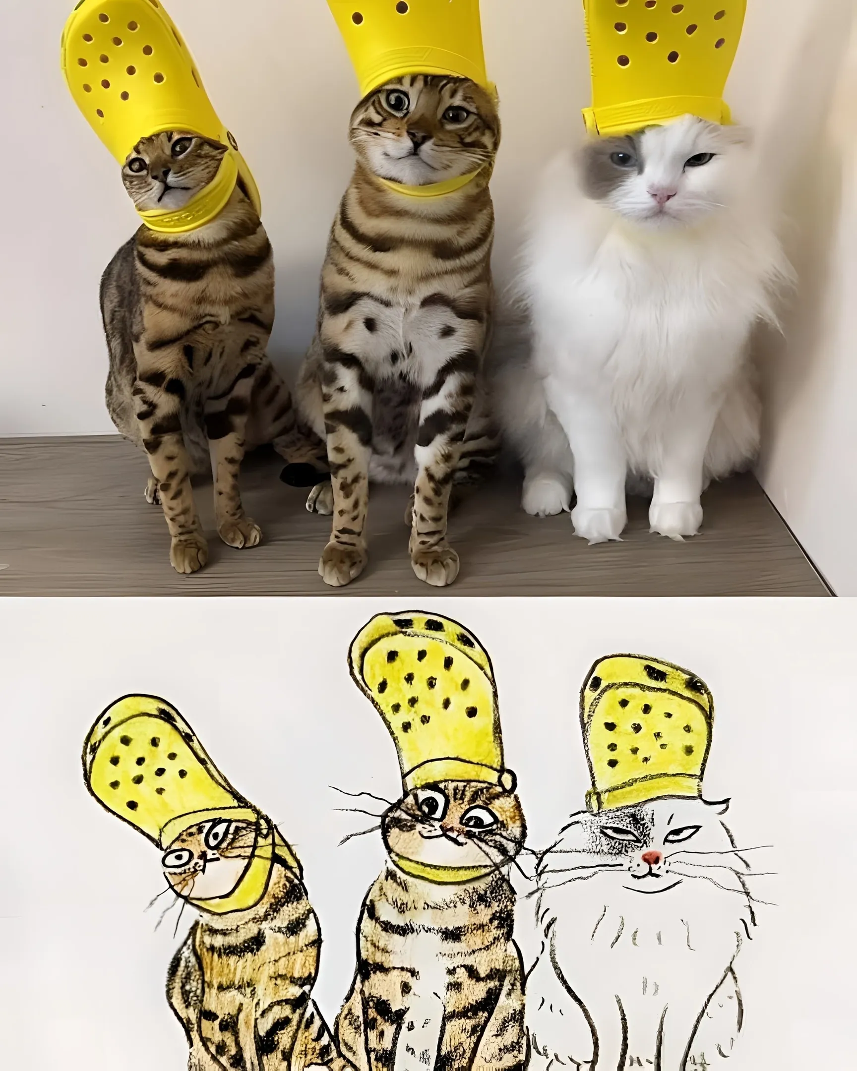 Еще немного тех котичек :3 #4