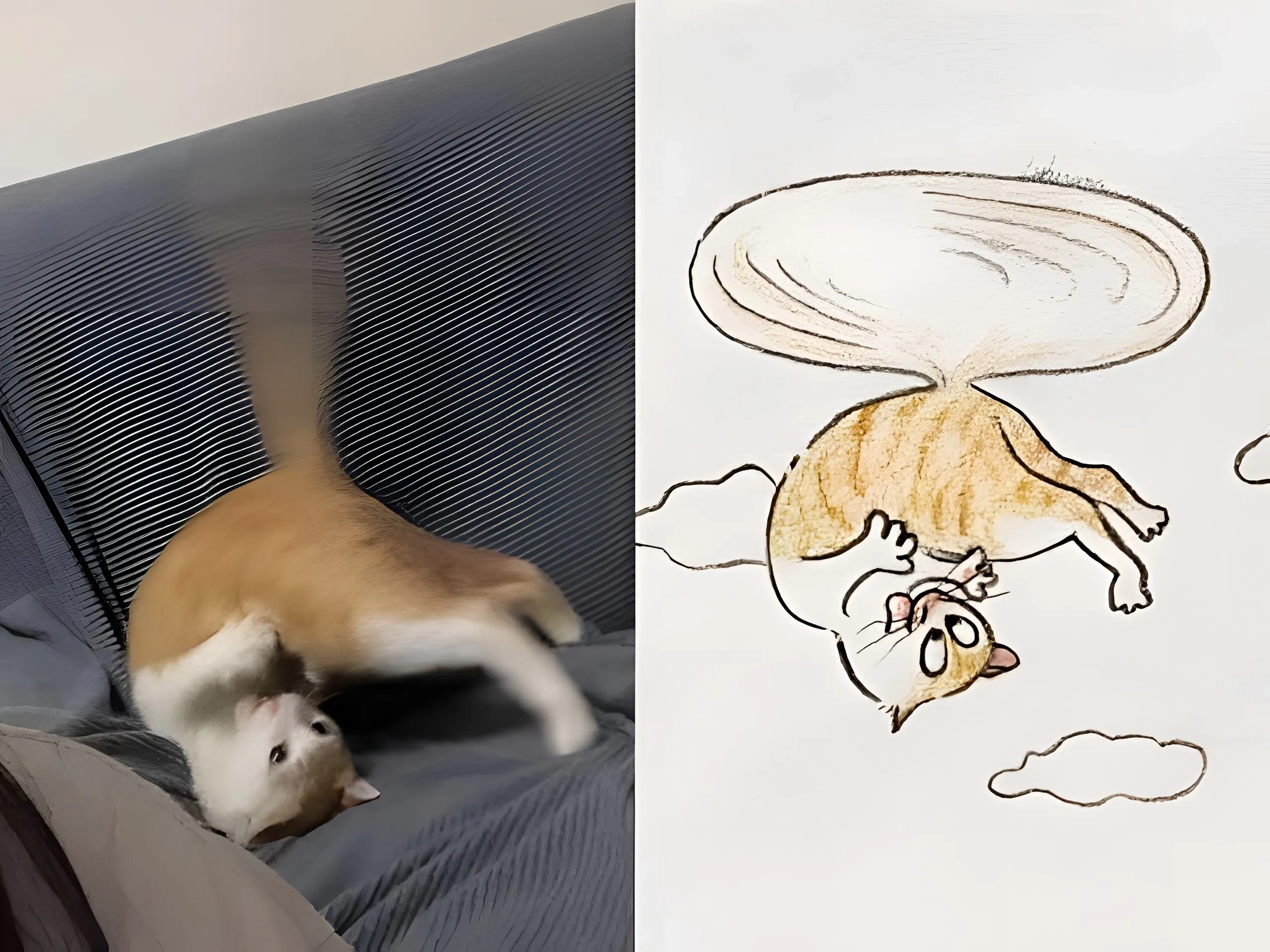 Еще немного тех котичек :3 #5