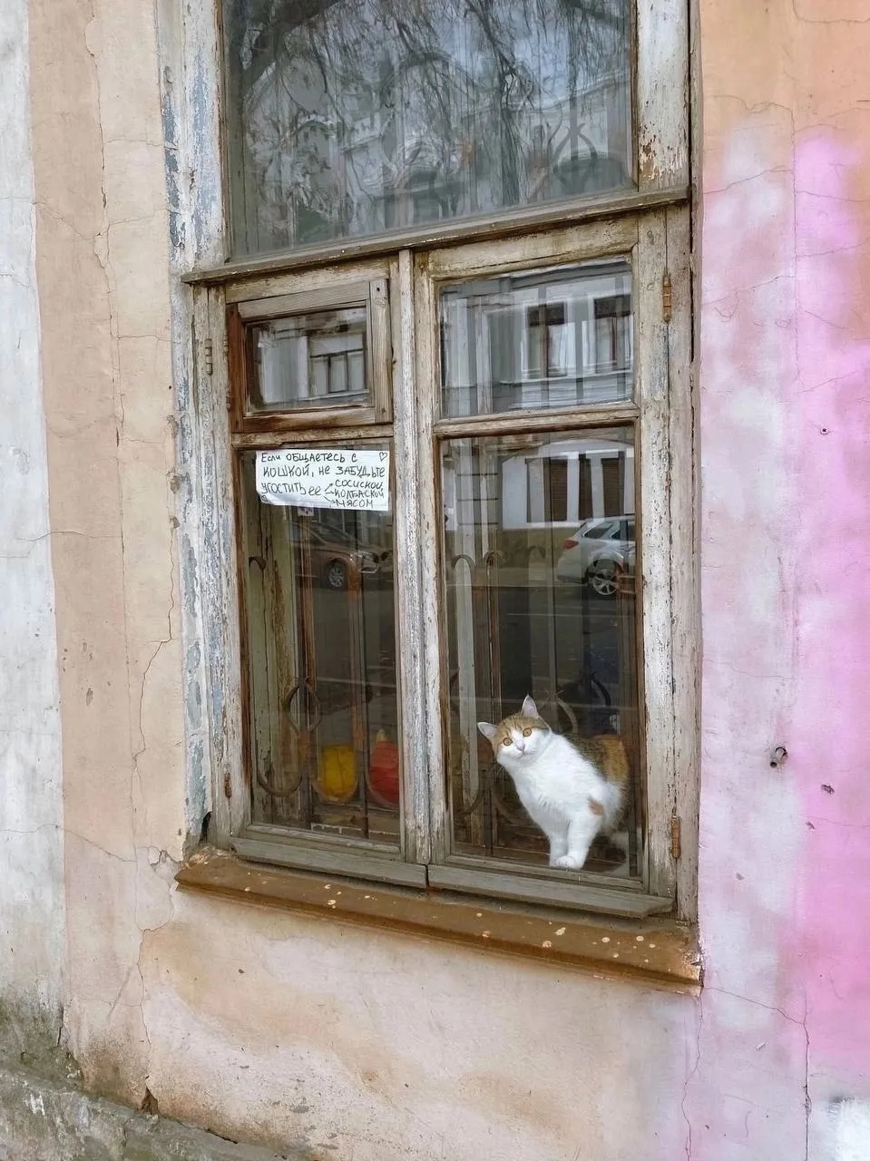 Новый вид платных услуг! #3